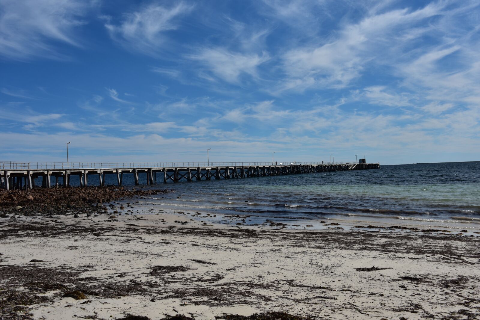 Nikon D750 sample photo. Beach, sand, seaweed photography