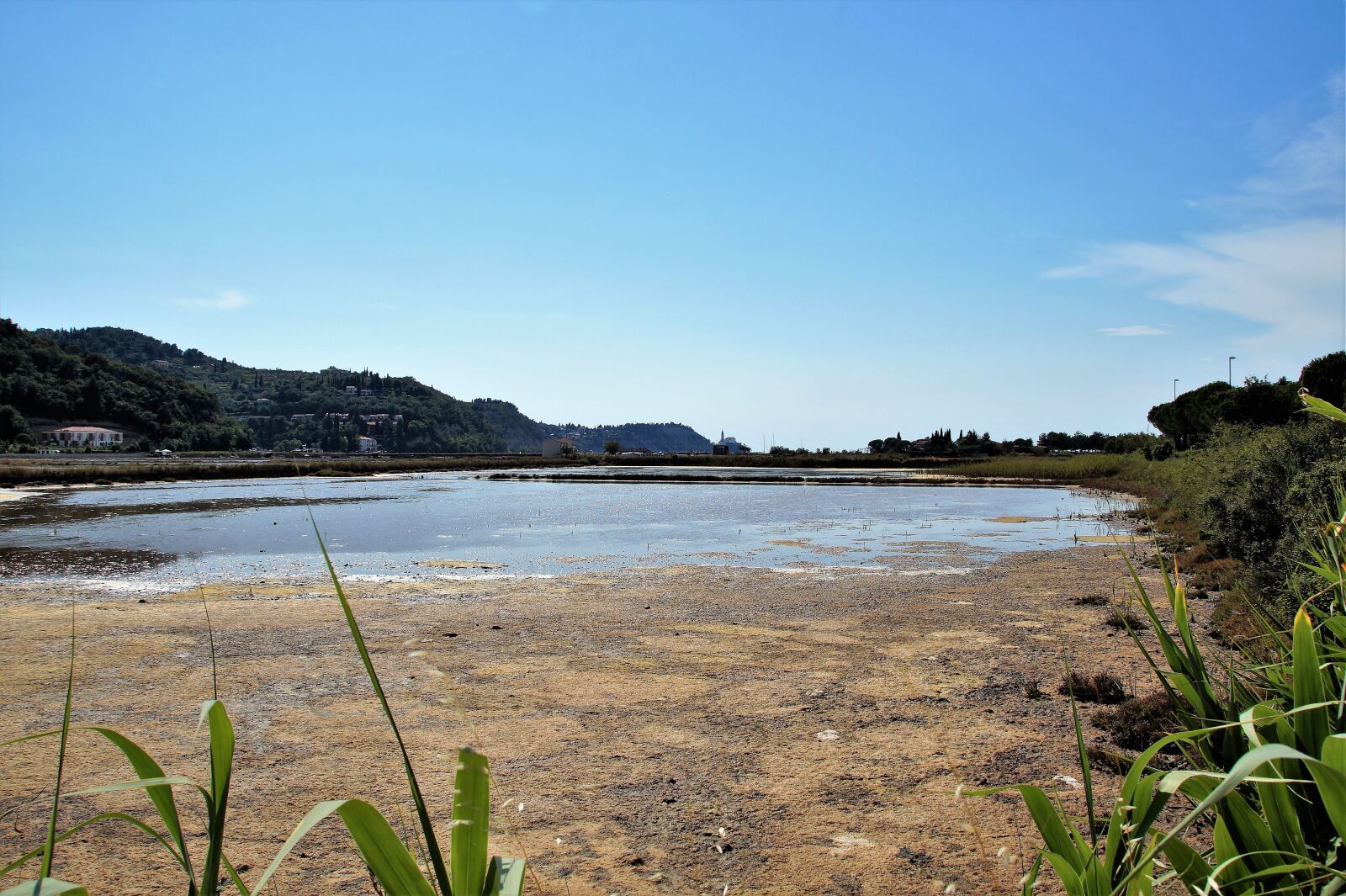 Sony SLT-A58 sample photo. Salina, evaporation of salt photography