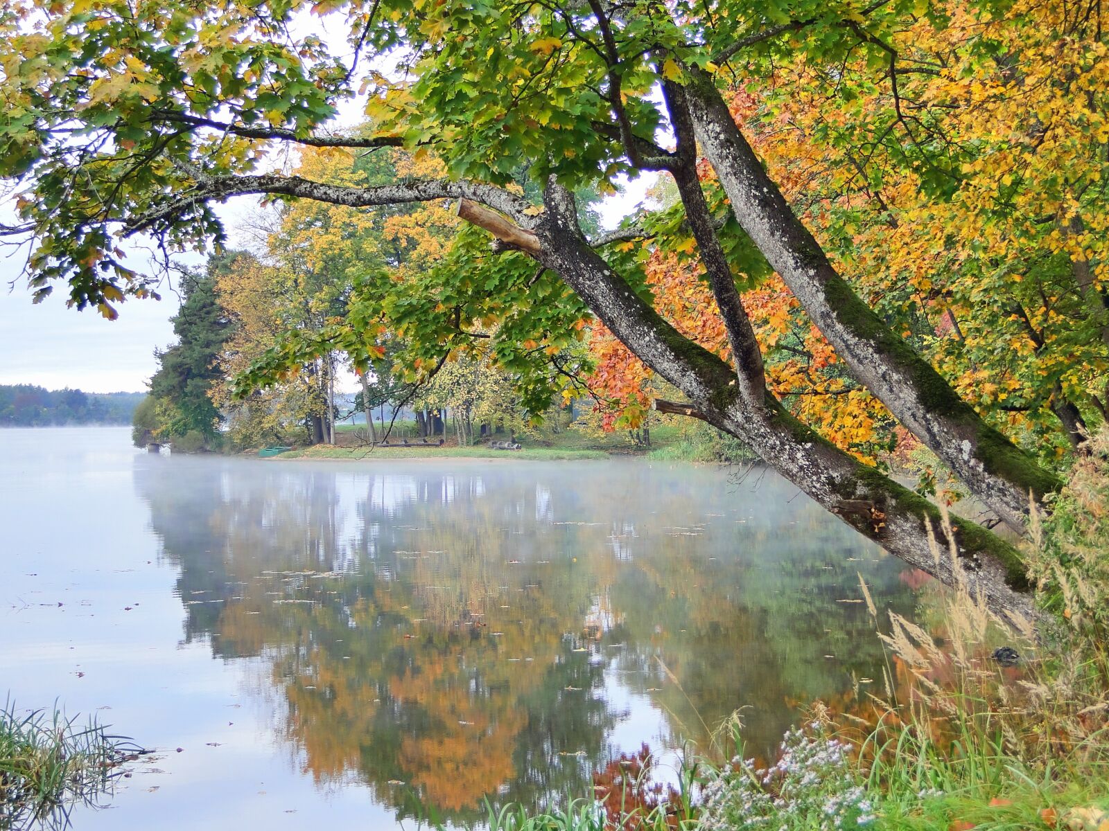 Sony Cyber-shot DSC-HX1 sample photo. Autumn, foliage, river photography