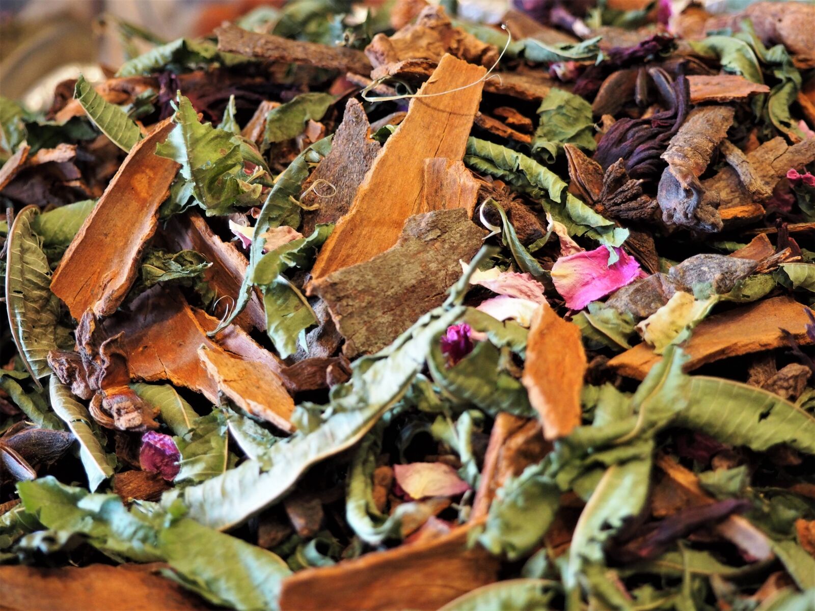 Olympus OM-D E-M10 sample photo. Pot pourri, bark, petals photography
