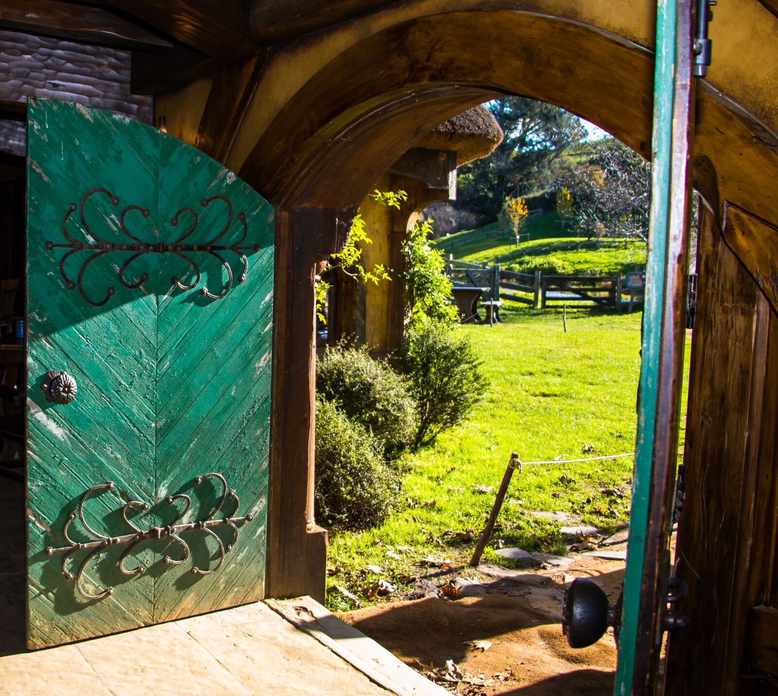 Canon EOS 760D (EOS Rebel T6s / EOS 8000D) sample photo. Green dragon, lord of photography