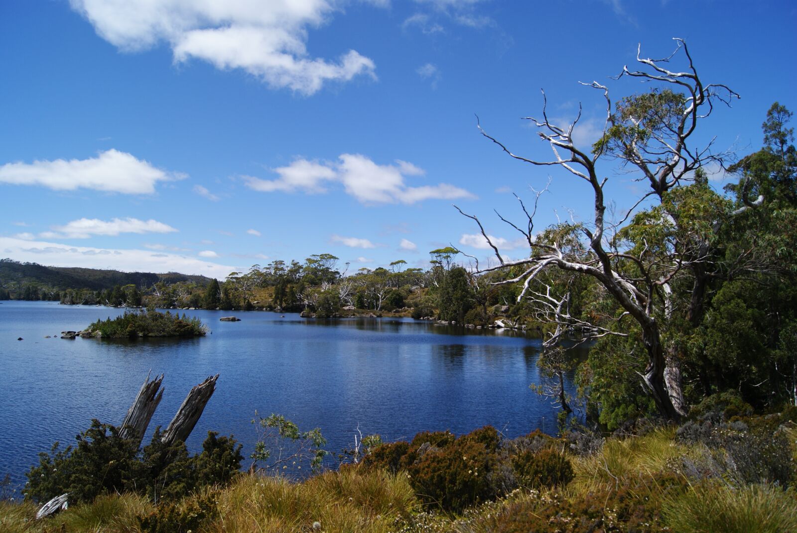 Sony Alpha DSLR-A230 sample photo. Lake, cradle mountain national photography