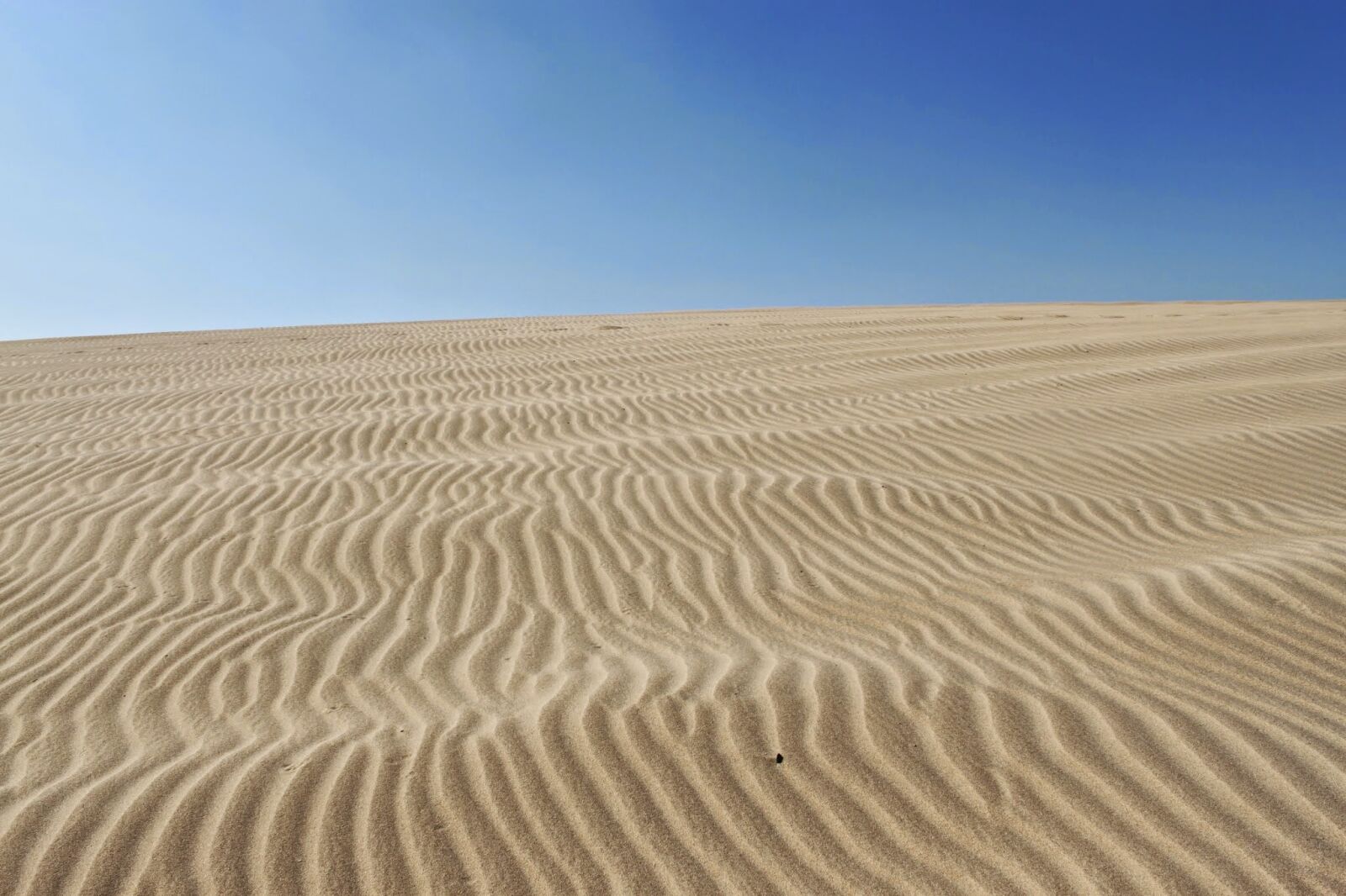 Canon EOS 500D (EOS Rebel T1i / EOS Kiss X3) sample photo. Desert, air, drought photography