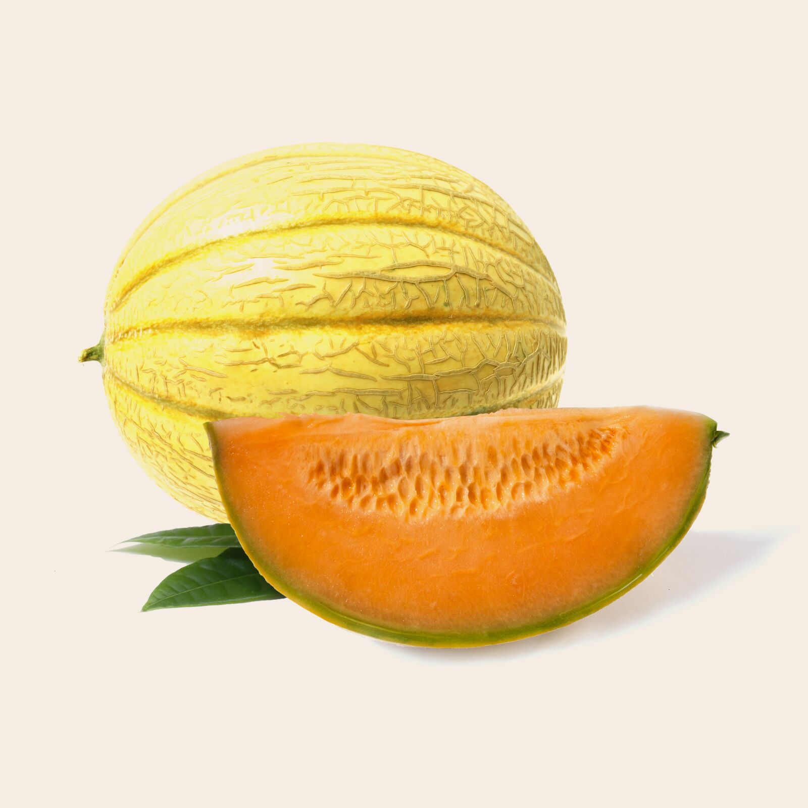 Canon EOS 5D Mark II sample photo. Melon, fruit, health photography