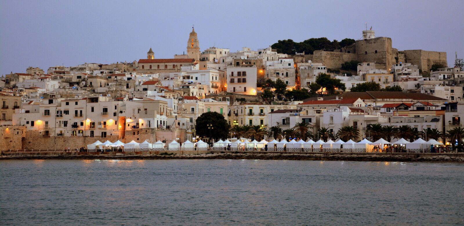 Nikon D7100 sample photo. Vieste, city, landscape photography