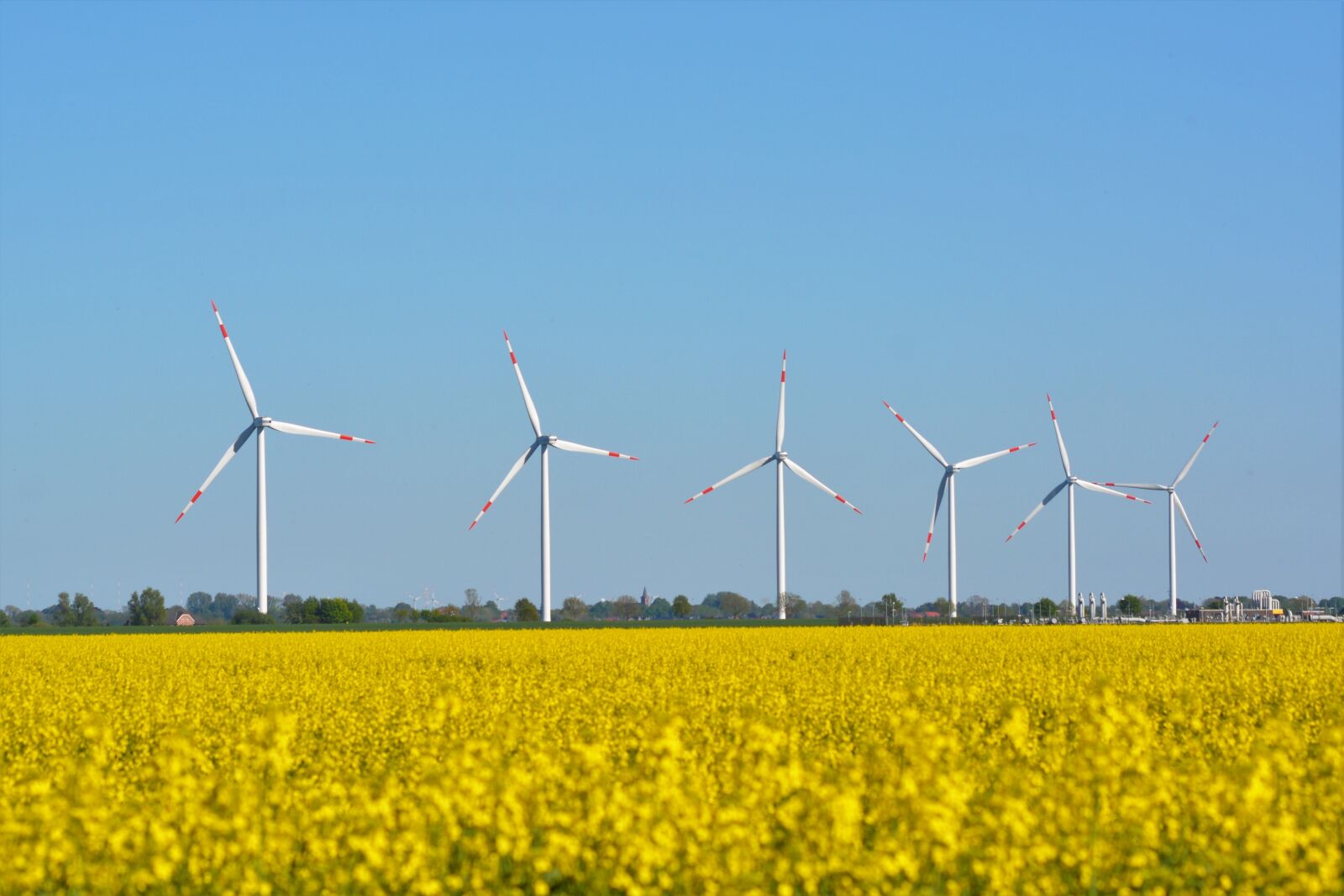 Nikon D5200 sample photo. Dollart, landscape polder, municipality photography