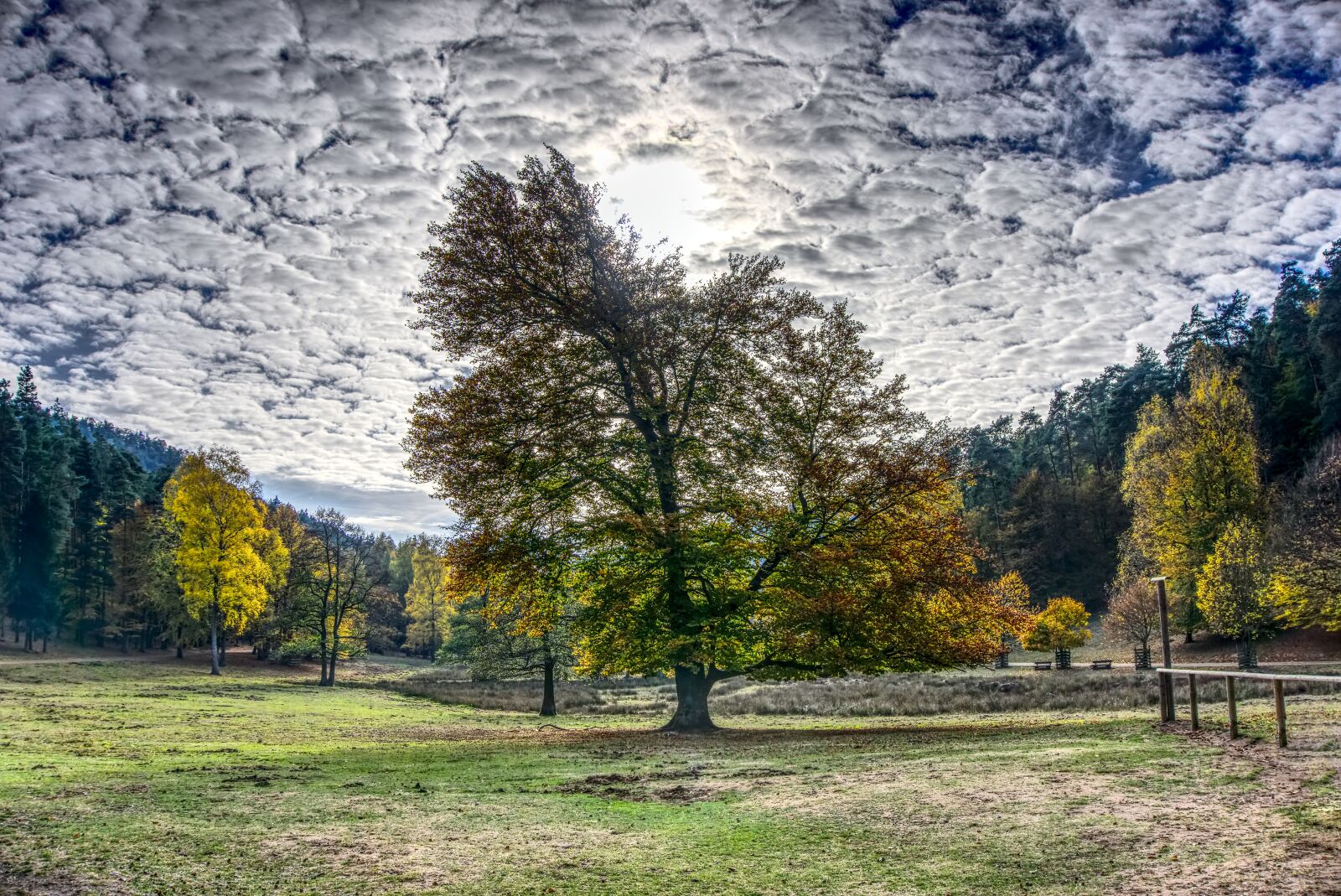 Sony a6000 sample photo. Autumn, trees, sky clouds photography