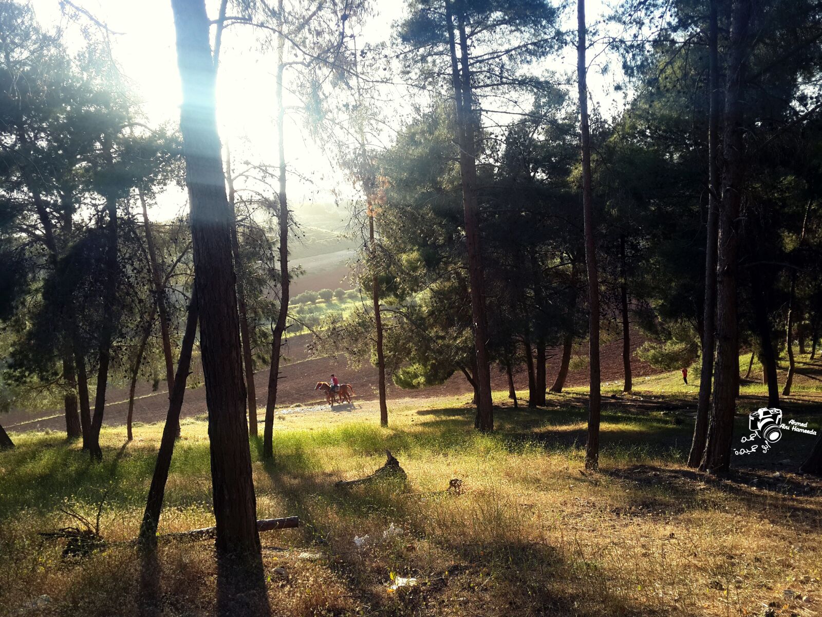 Samsung Galaxy S4 sample photo. Hours, photographer, spring photography
