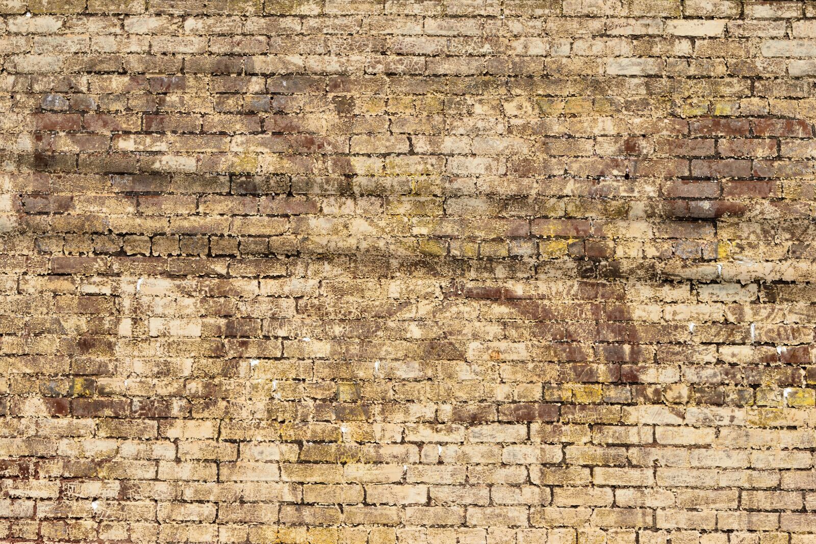 Nikon D3300 sample photo. Brick wall, grunge, old photography