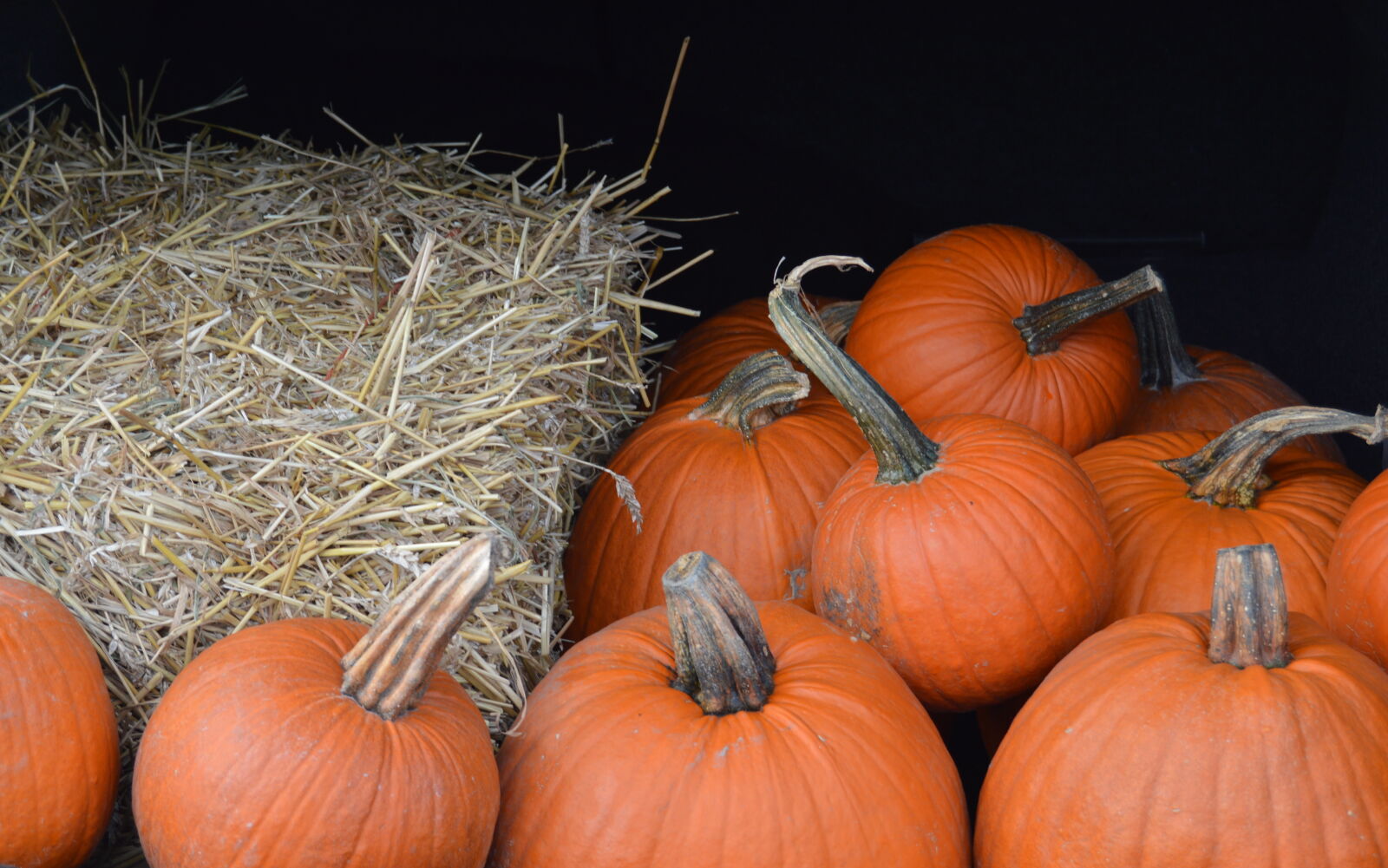 Nikon D3200 sample photo