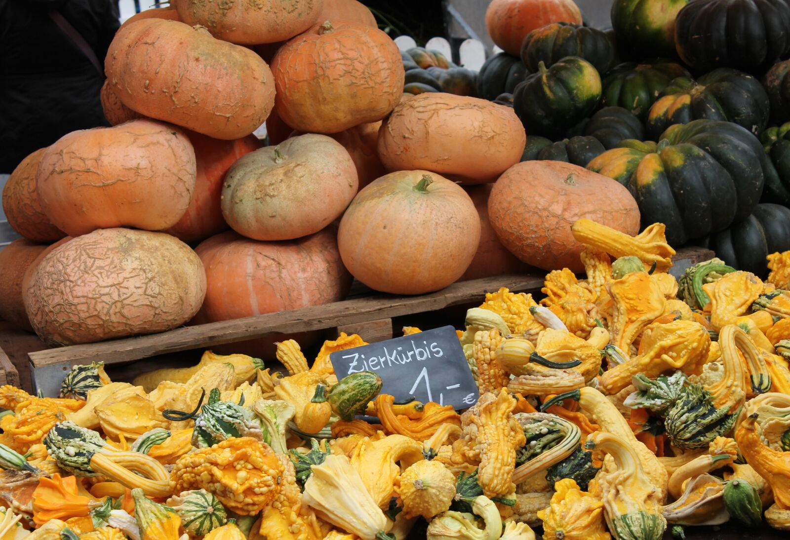 Canon EOS 550D (EOS Rebel T2i / EOS Kiss X4) sample photo. Pumpkin, gourd, autumn photography