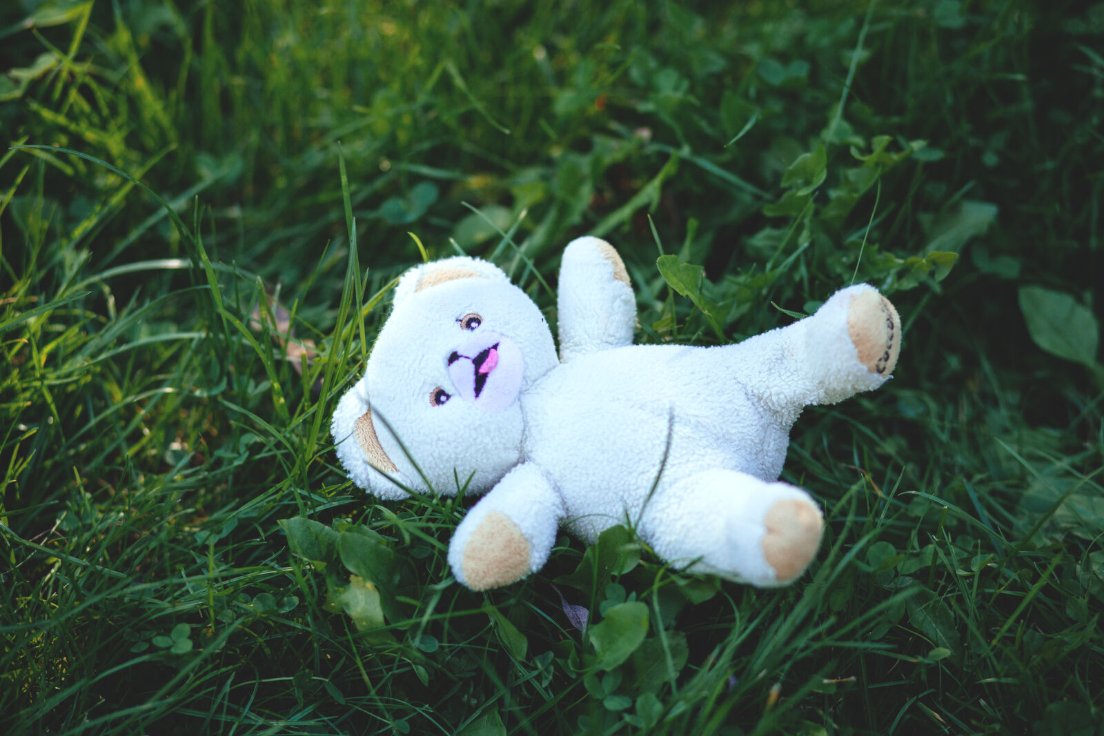 Canon EF 85mm F1.8 USM sample photo. White, bear, plush, toy photography