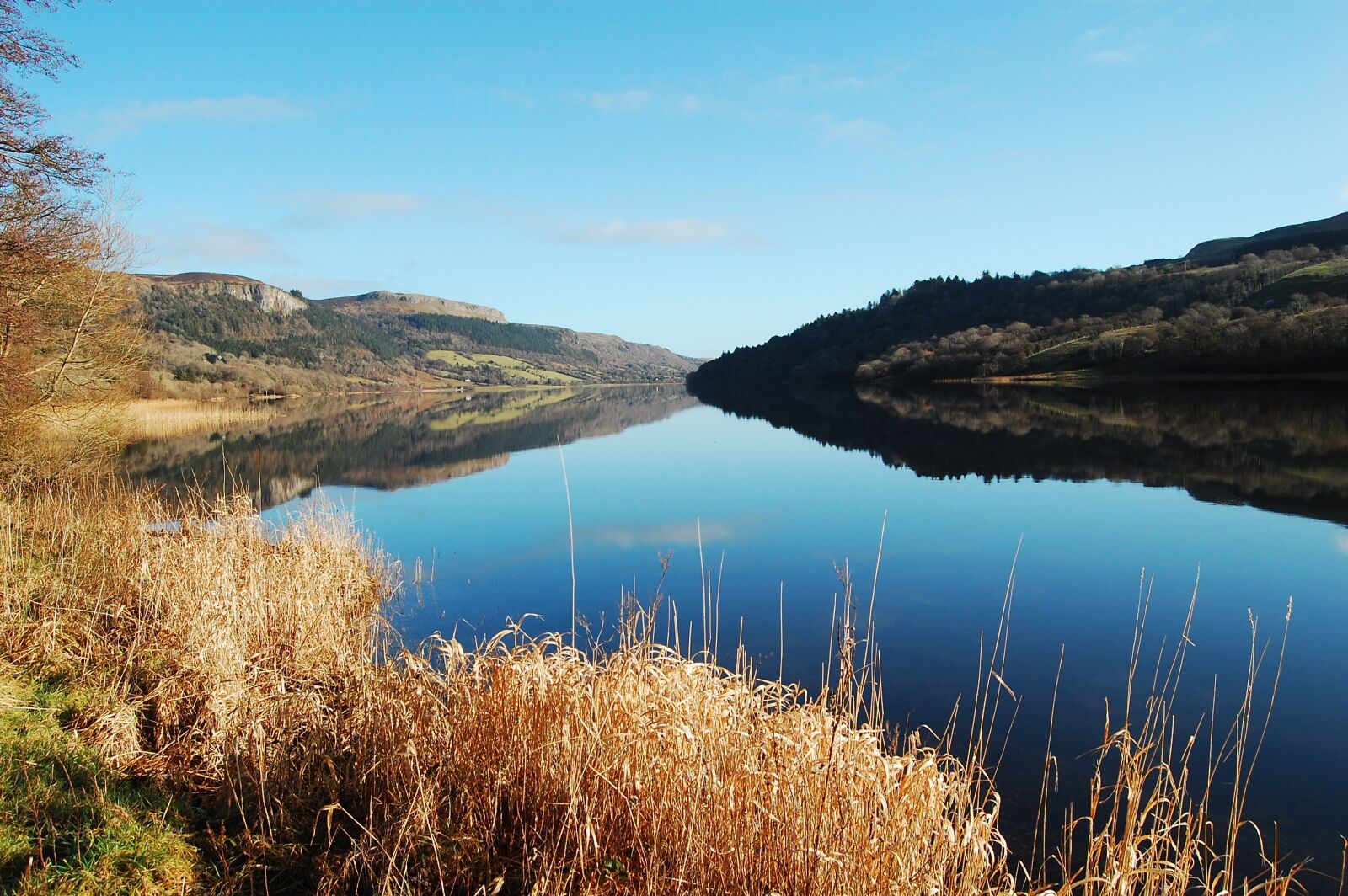Nikon D40 sample photo. Lake, calm, mirror image photography