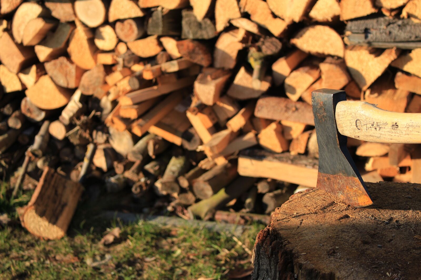 Canon EOS 700D (EOS Rebel T5i / EOS Kiss X7i) sample photo. Wood for the fireplace photography