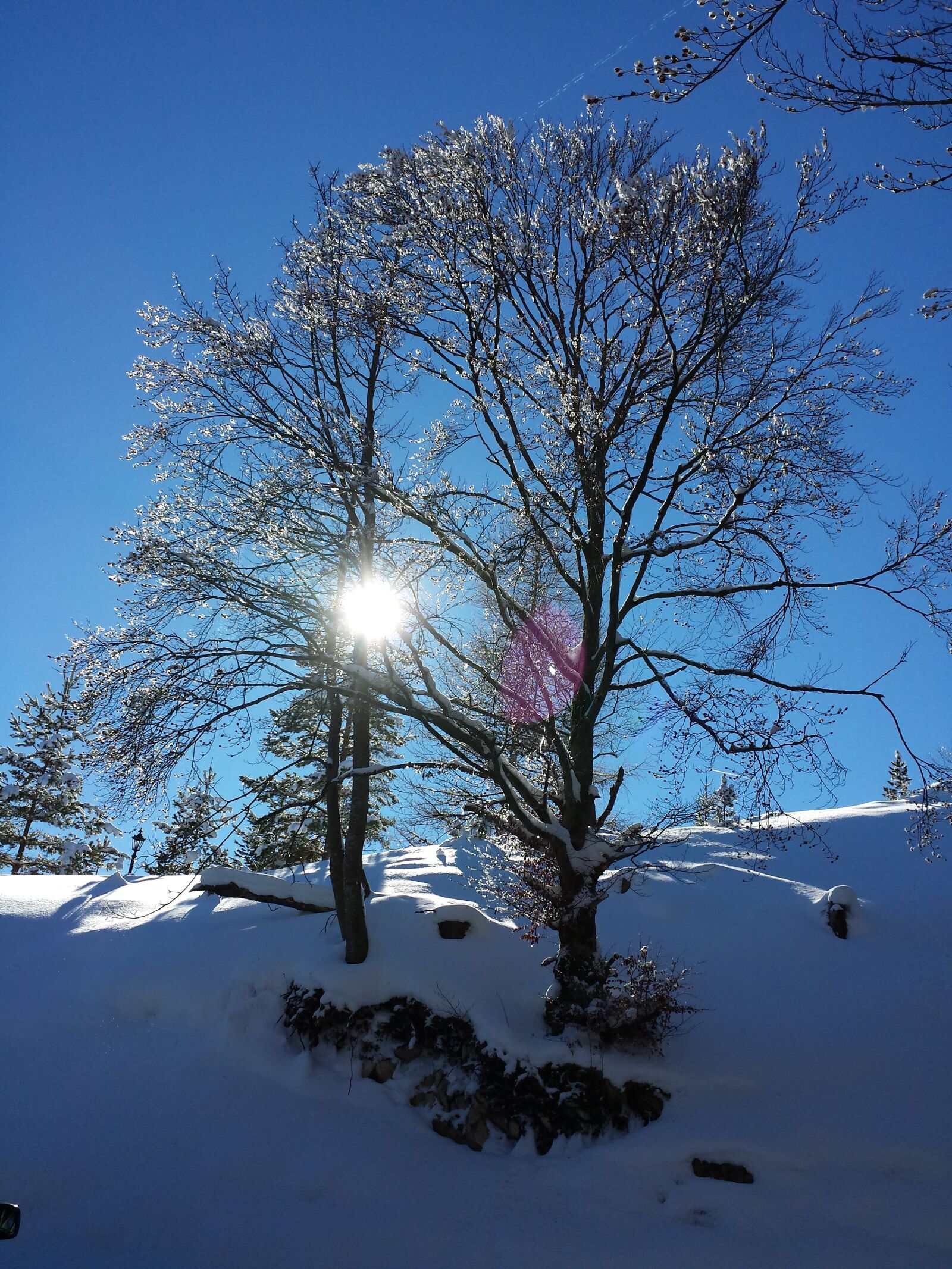 Samsung Galaxy S4 sample photo. Wintry, snow, snow landscape photography