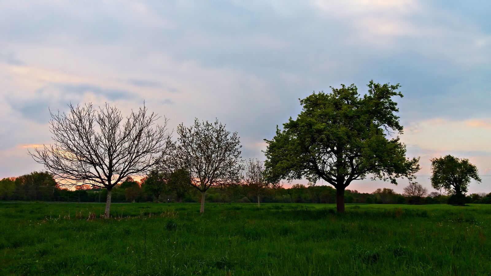 Samsung Galaxy J5 sample photo. Landscape, spring, nature photography