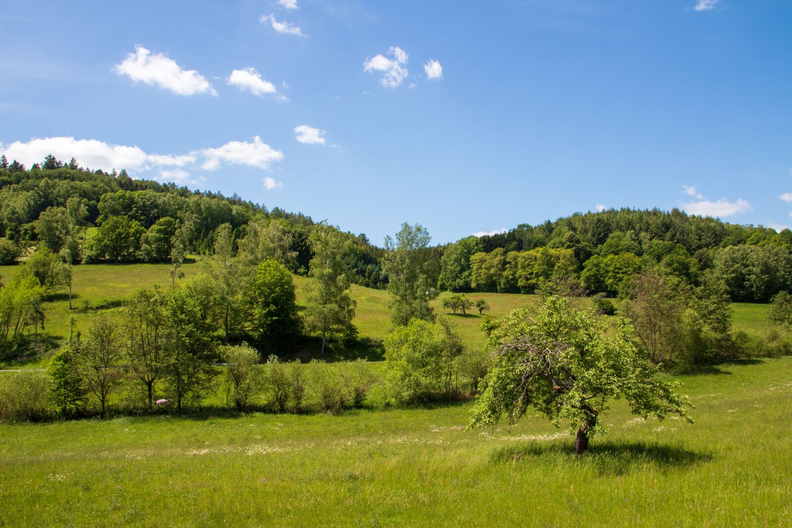 Canon EOS 1300D (EOS Rebel T6 / EOS Kiss X80) sample photo. Landscape, panorama, sky photography