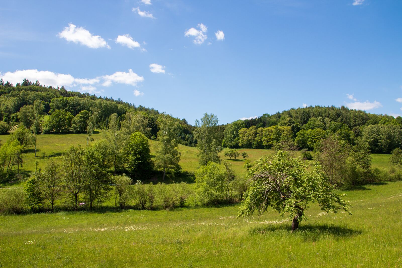 Canon 17-70mm F2.8-4 DC MACRO OS HSM | Contemporary 013 sample photo. Landscape, panorama, sky photography