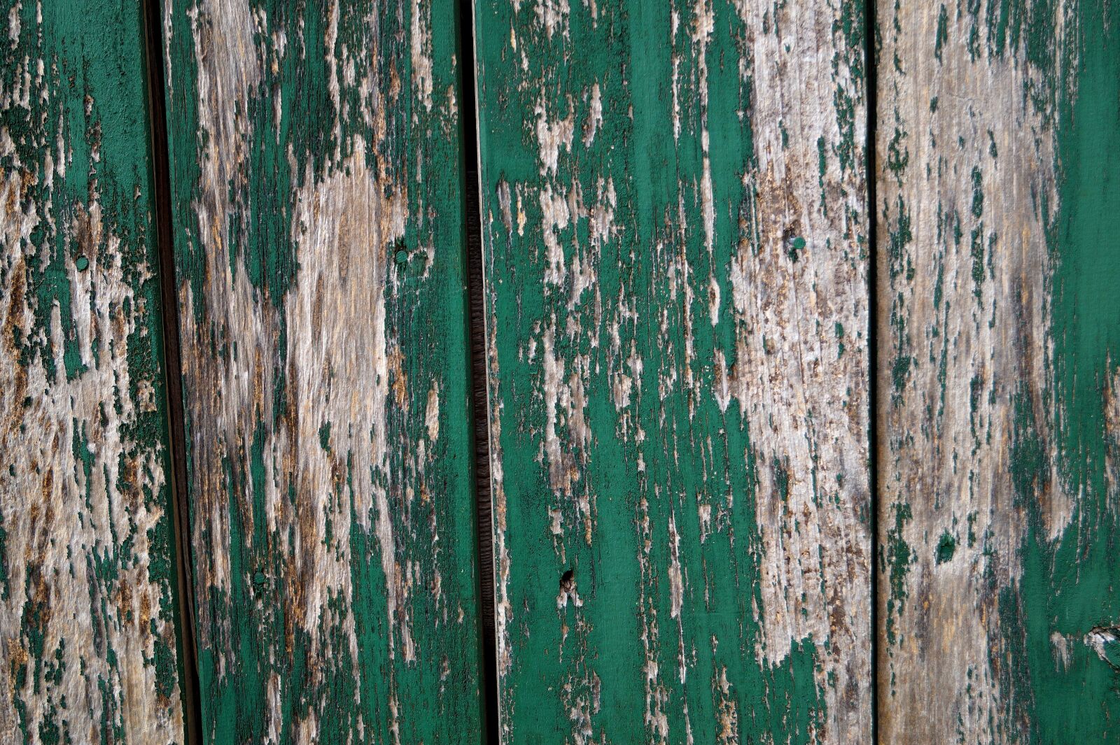 Sony DT 18-55mm F3.5-5.6 SAM II sample photo. Wood, wall, wooden wall photography