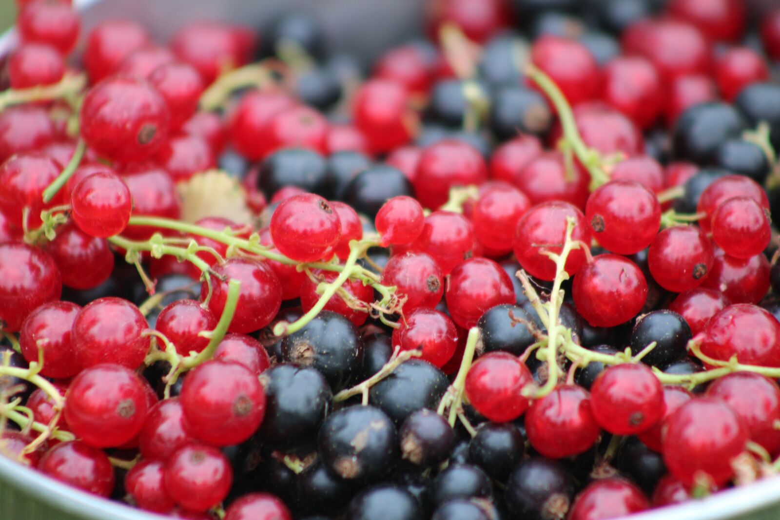 Canon EF75-300mm f/4-5.6 sample photo. Currant, fruit, food photography