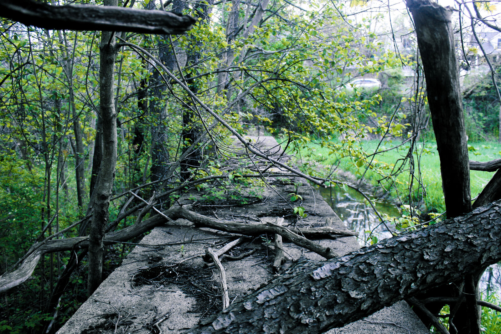 Canon EOS 600D (Rebel EOS T3i / EOS Kiss X5) sample photo. Abandoned, broken, dam, nature photography
