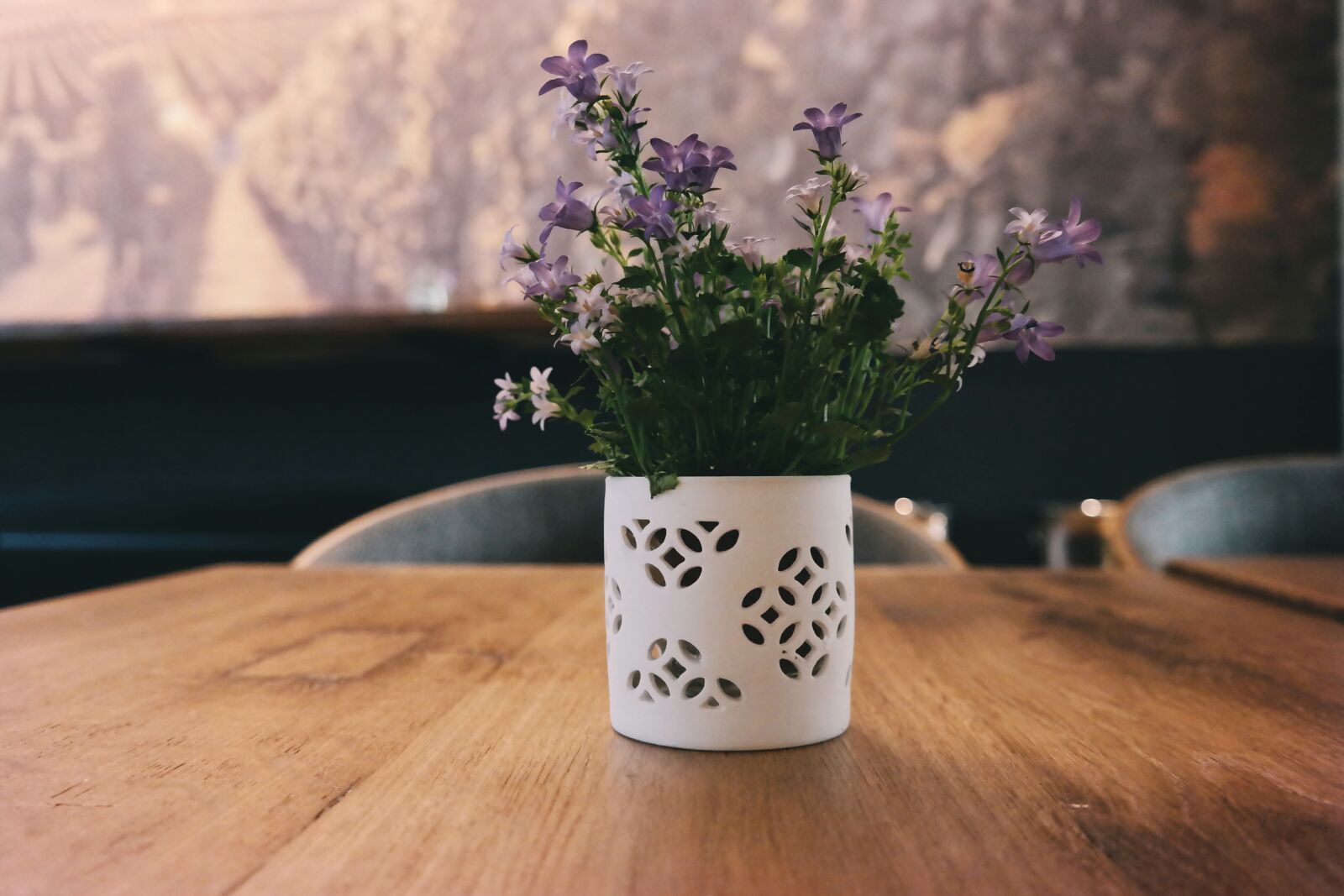 Samsung NX300 sample photo. Flower, flowers, purple flowers photography
