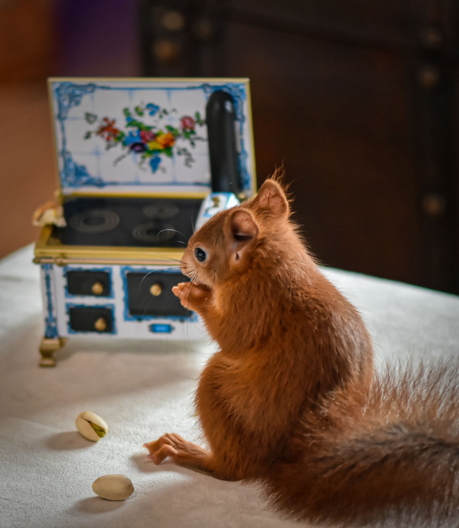 Nikon D7200 sample photo. Squirrel, young animal, oven photography