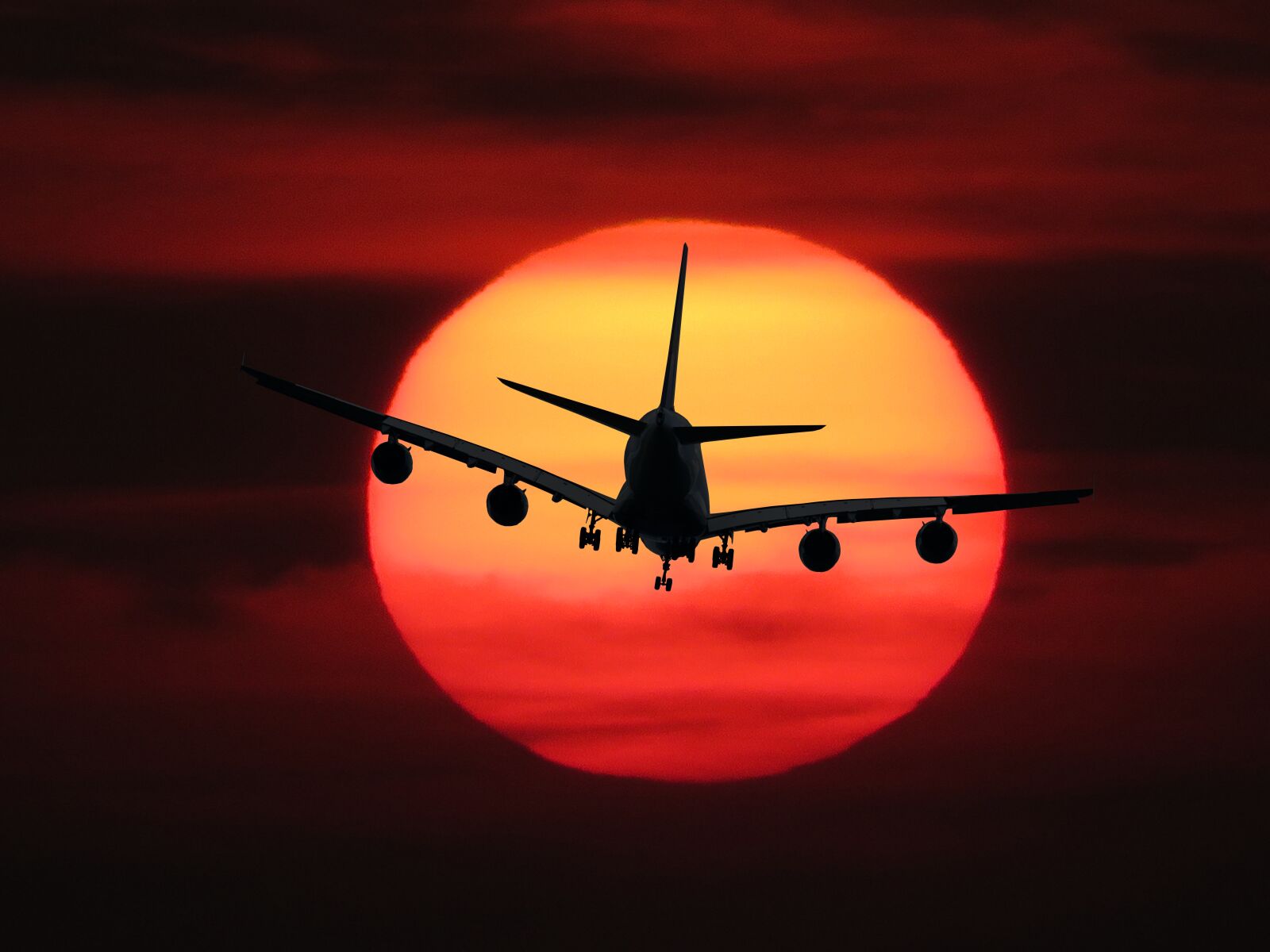 Canon PowerShot SX710 HS sample photo. Emotions, flying, aircraft photography