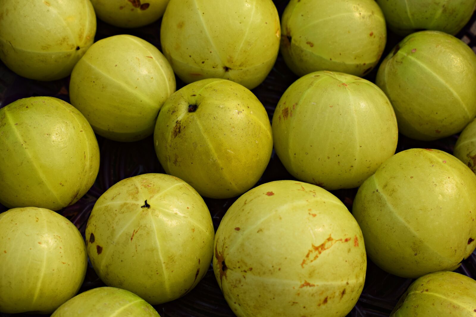 Nikon D3300 sample photo. Fruits, fresh, organic photography