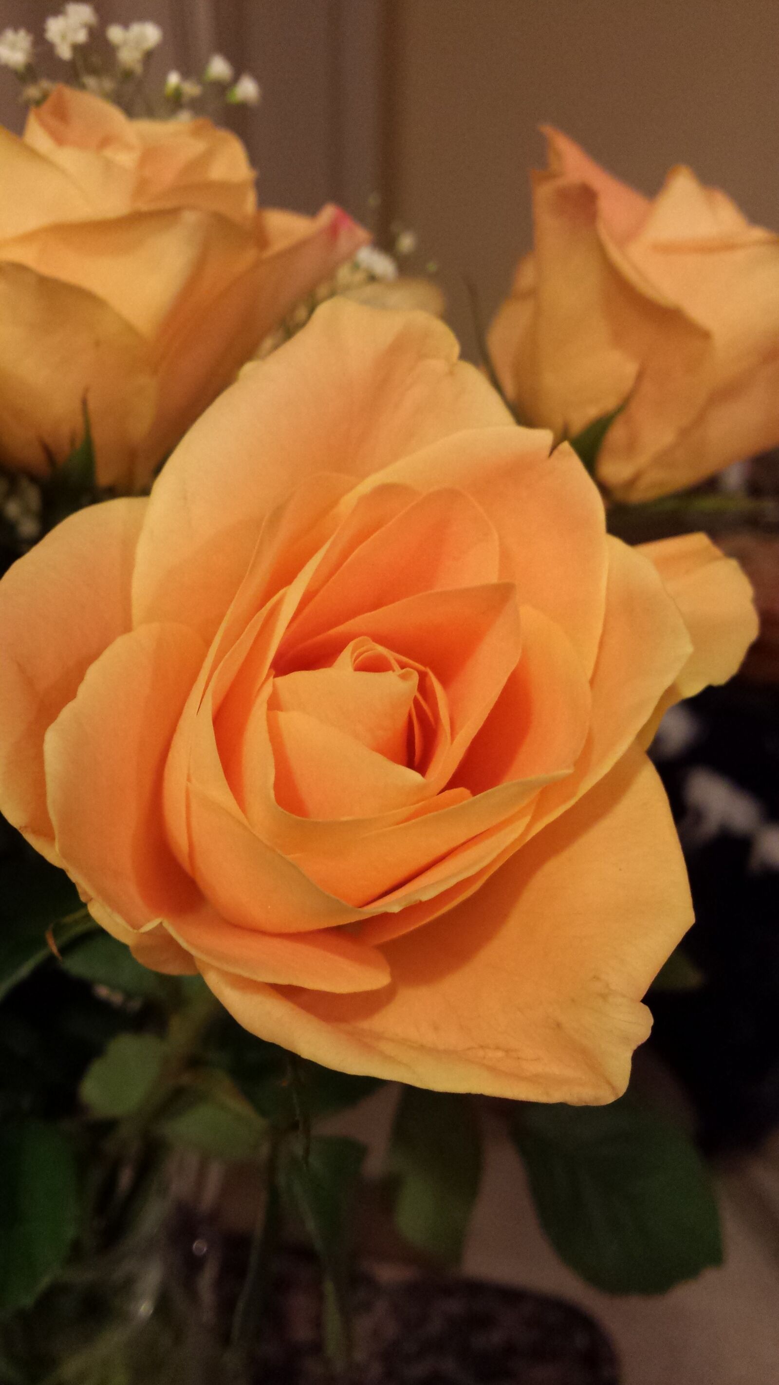 Samsung Galaxy S4 sample photo. Golden, rose, yellow, rose photography