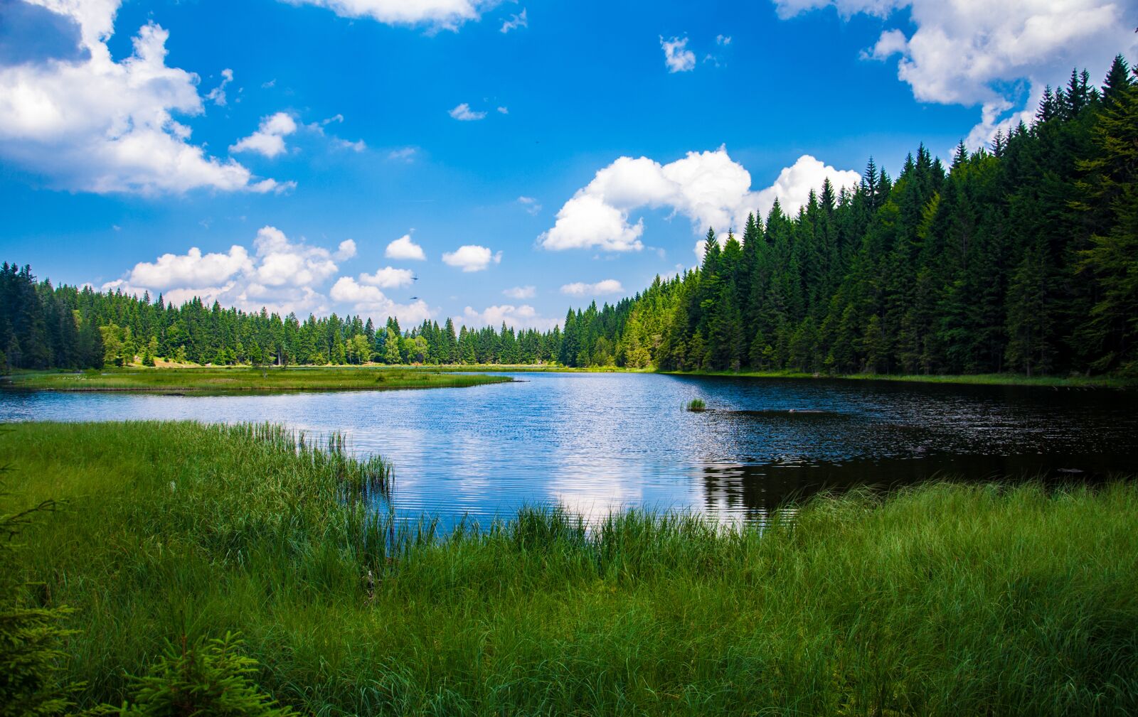 Nikon D90 sample photo. Bavarian forest, alpsee, lake photography