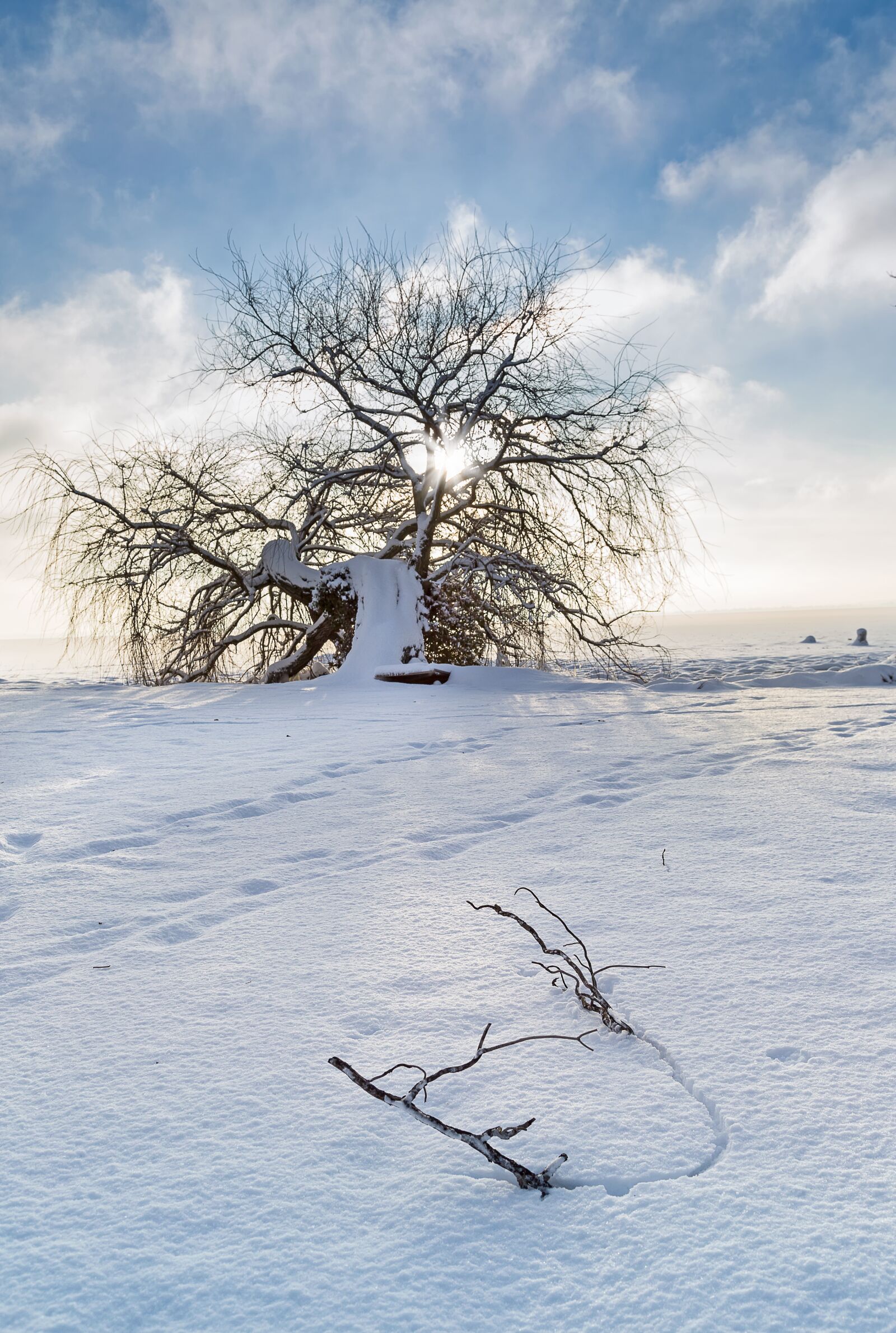 Canon EF 24-105mm F4L IS USM sample photo. Winter, wood, part photography