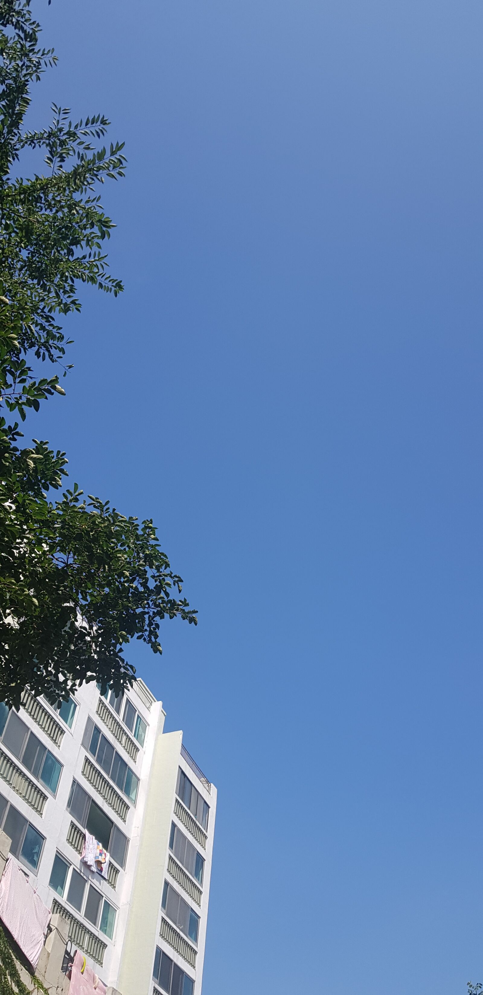 Samsung SM-N950N sample photo