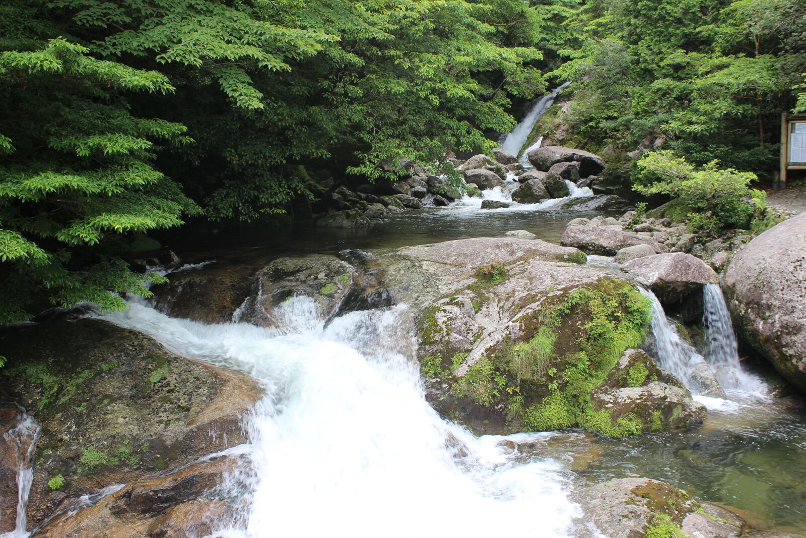 Canon EOS 600D (Rebel EOS T3i / EOS Kiss X5) sample photo. Falls photography