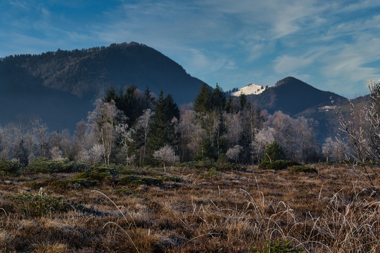 Nikon D7100 sample photo. Winter, frost, icy photography