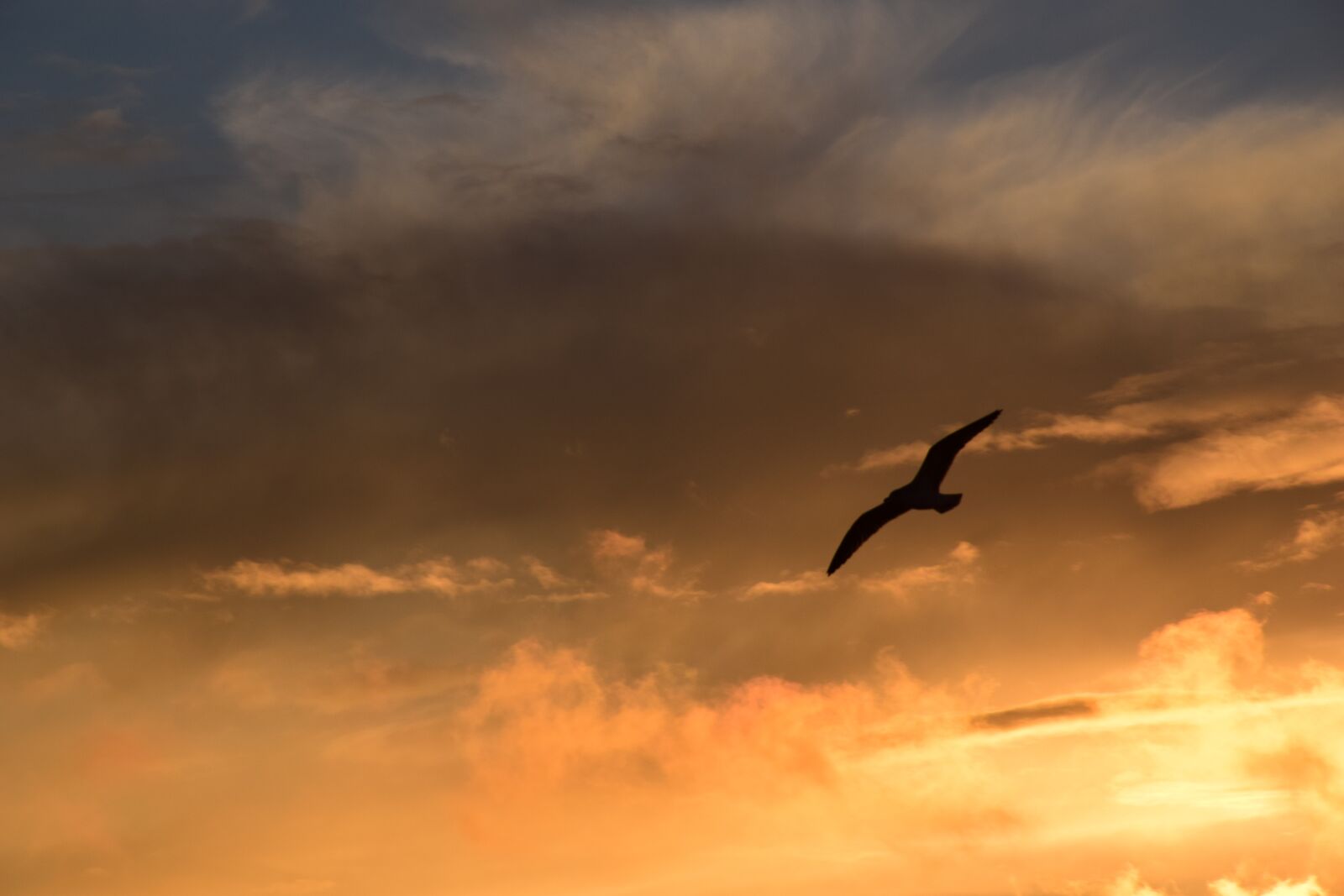 Nikon D5300 sample photo. Background, sky, clouds photography