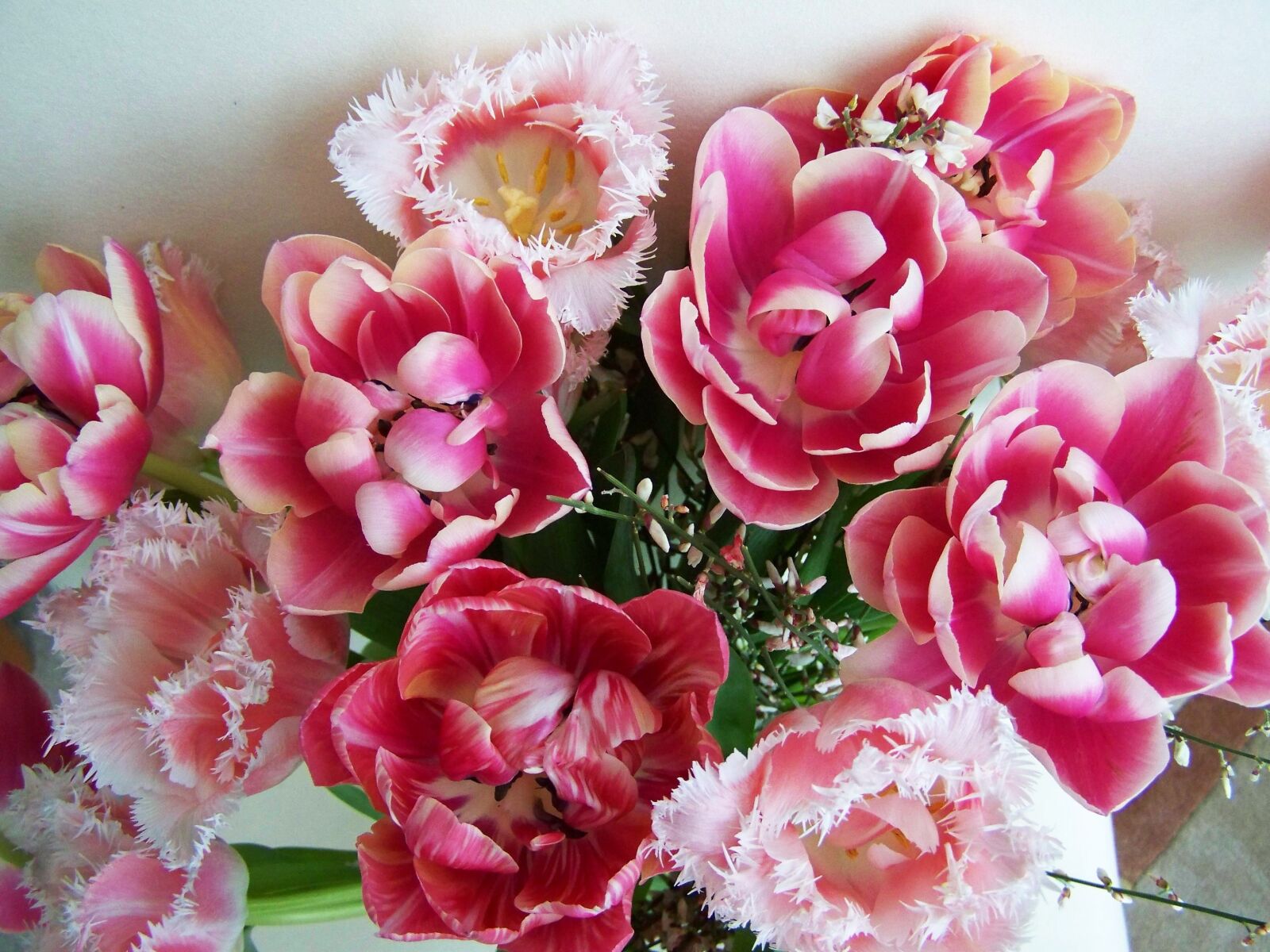 Kodak EASYSHARE ZD710 ZOOM DIGITAL CAMERA sample photo. Tulip bouquet, pink tulips photography