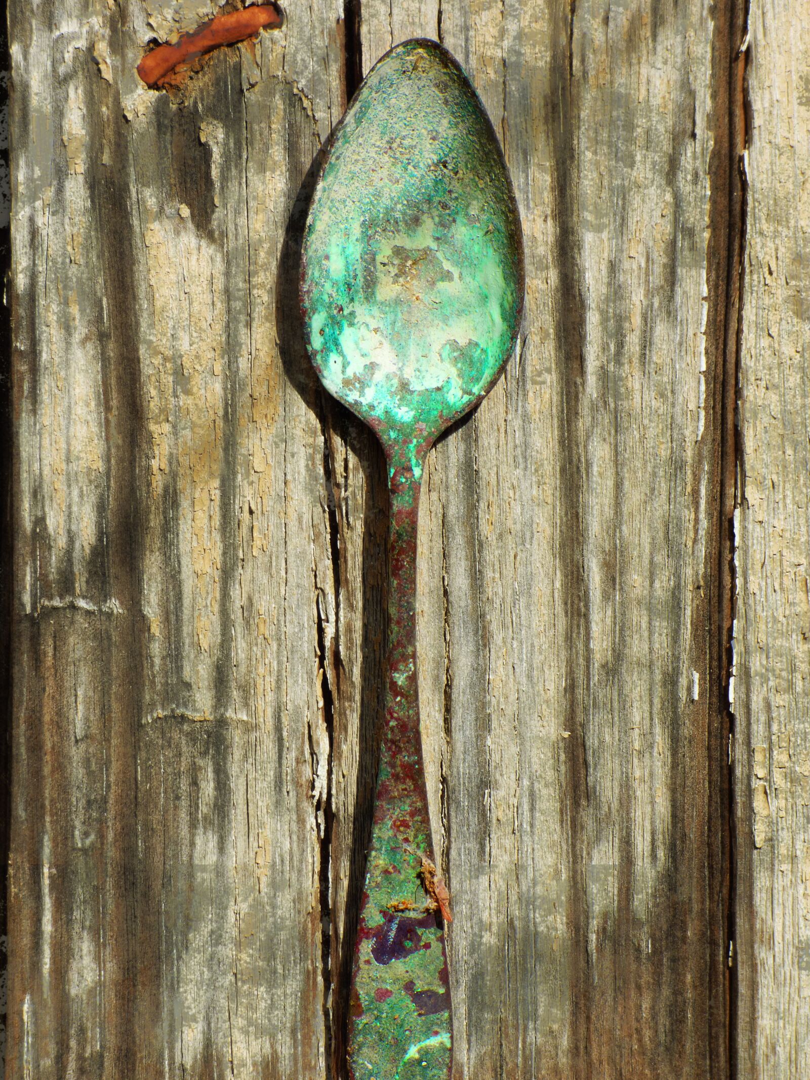 Panasonic Lumix DMC-FZ70 sample photo. Spoon, old, alpaca photography