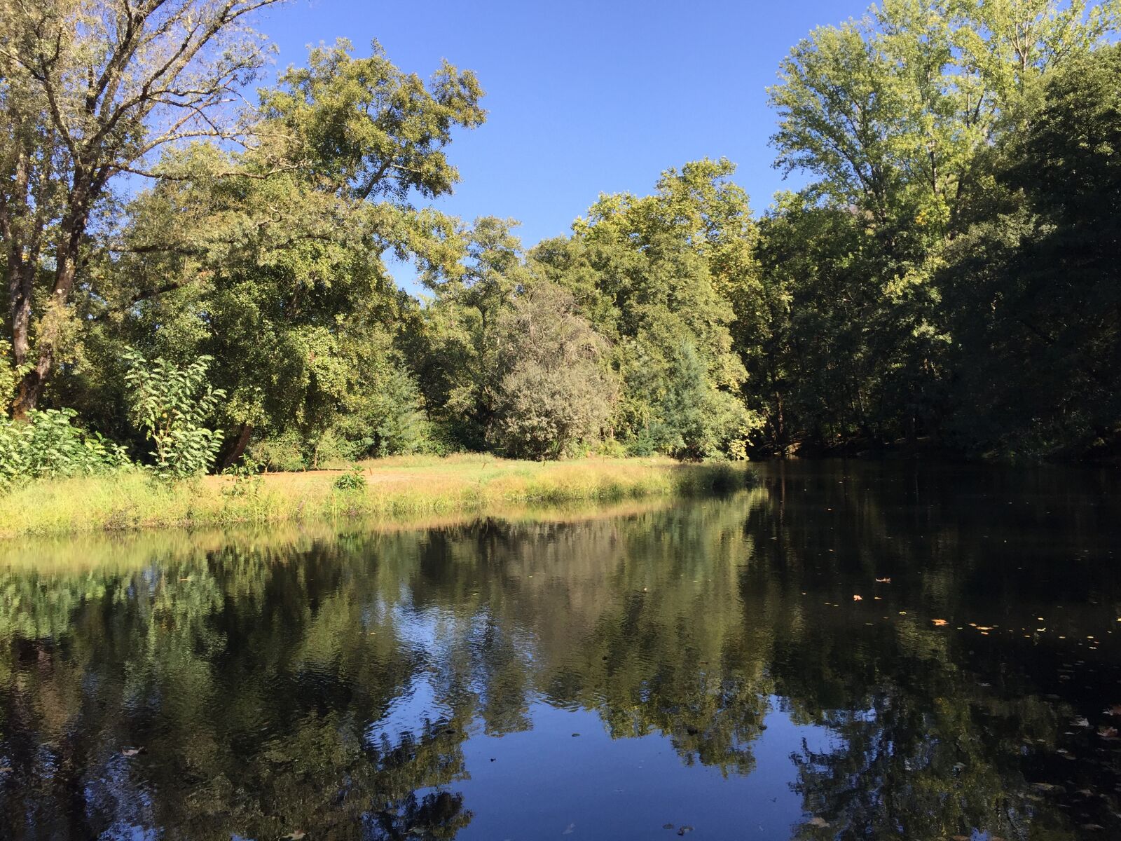 iPhone 6 Plus back camera 4.15mm f/2.2 sample photo. Lake, portugal, nature photography