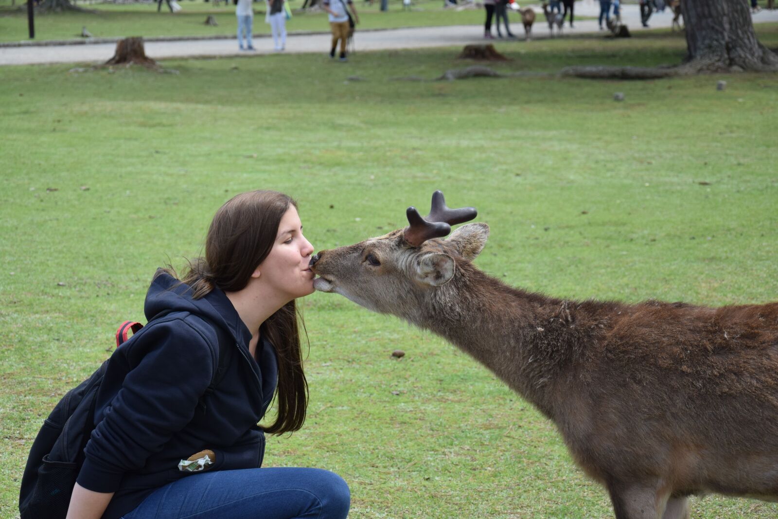 Nikon D5300 sample photo. Roe deer, kiss, woman photography
