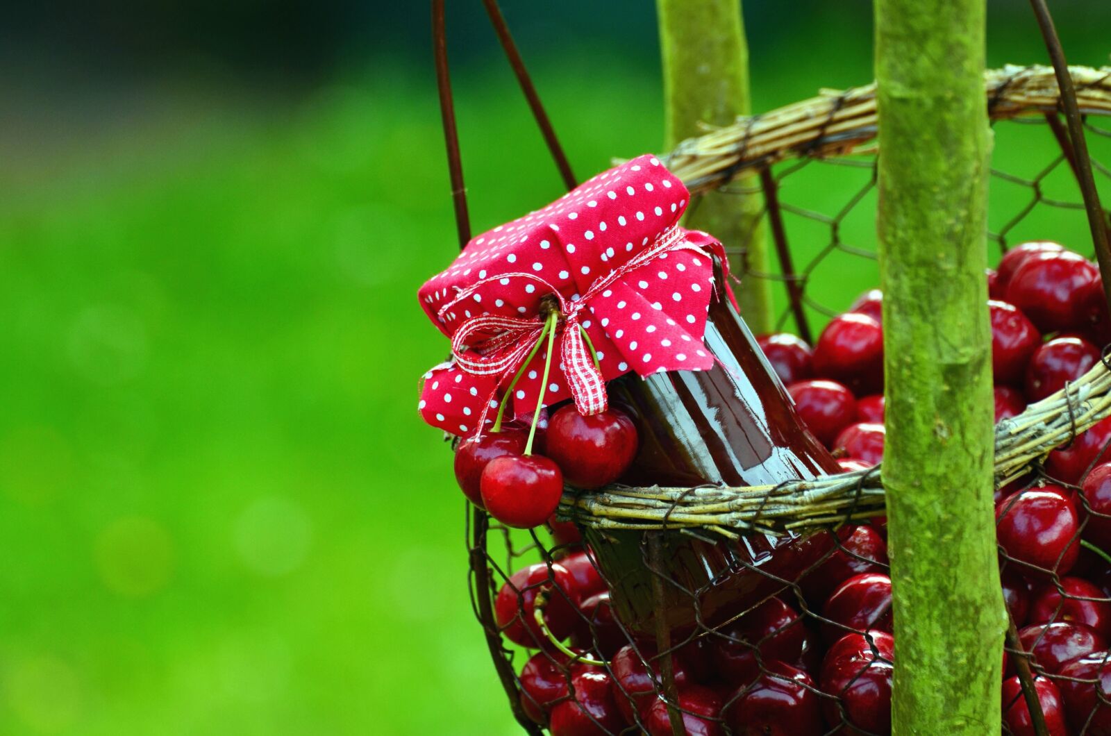 Nikon D5100 sample photo. Basket, jar, jam, cherry photography