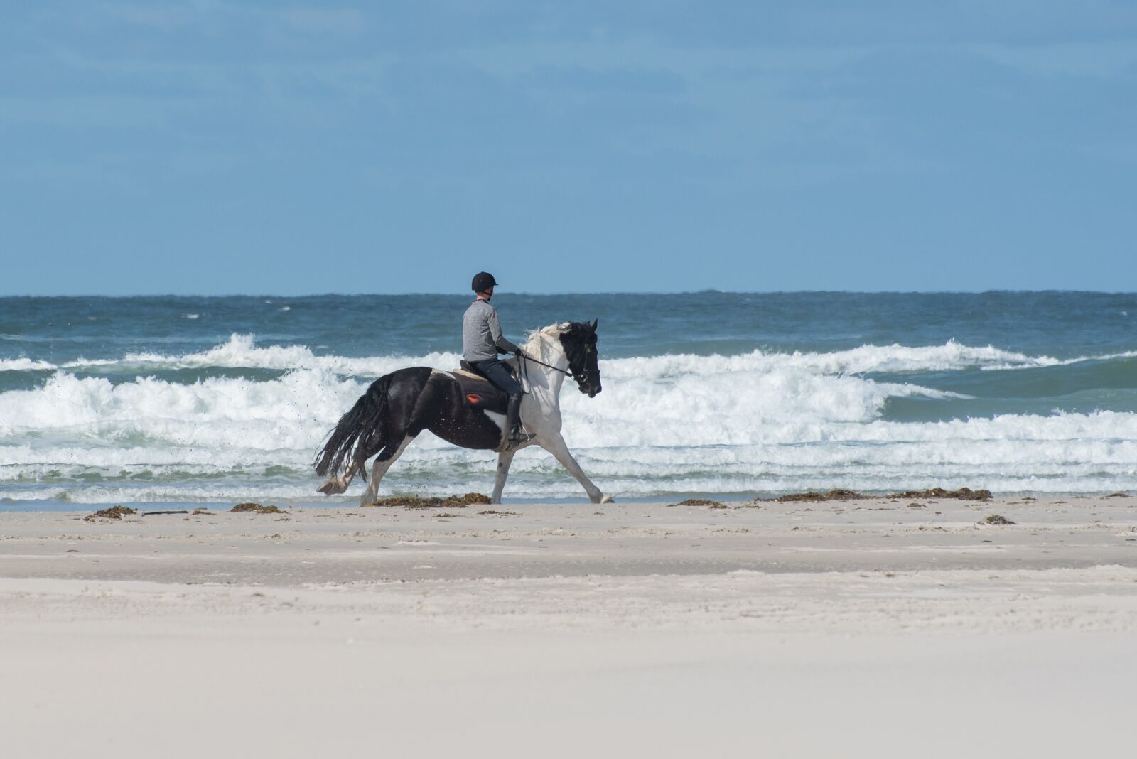 Nikon D750 sample photo. Horse, beach, sand photography