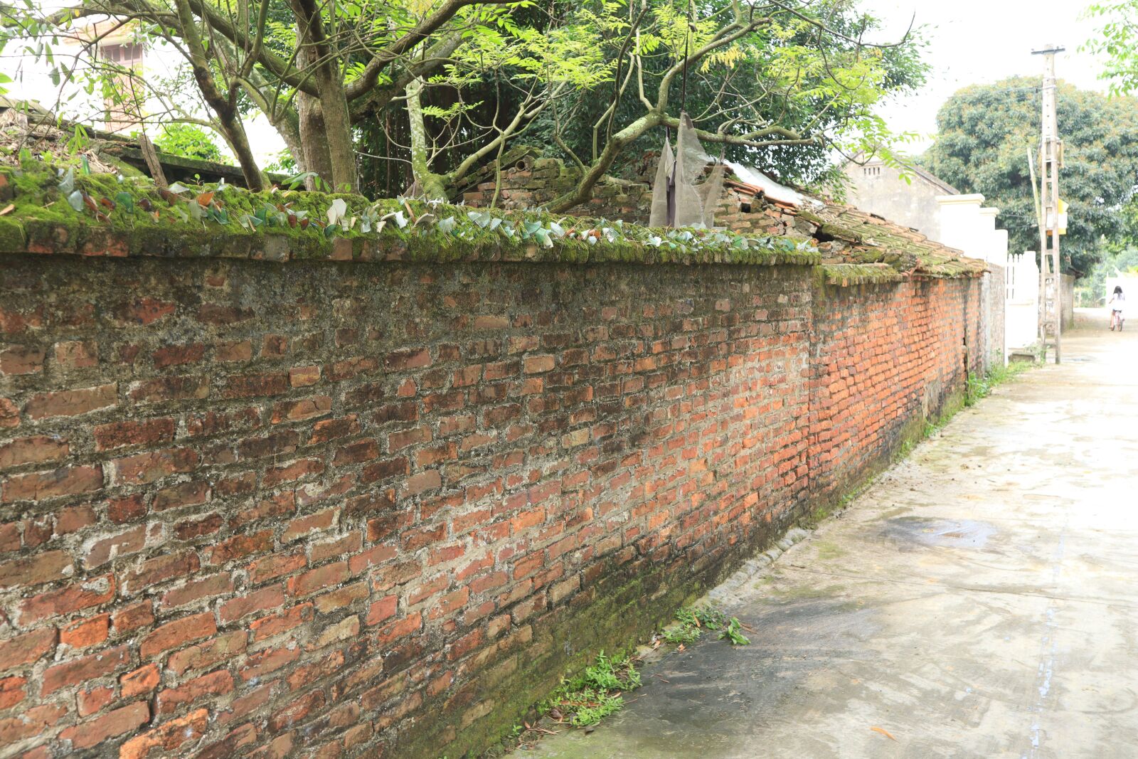 Canon EOS M50 (EOS Kiss M) sample photo. The wall, lane, home photography