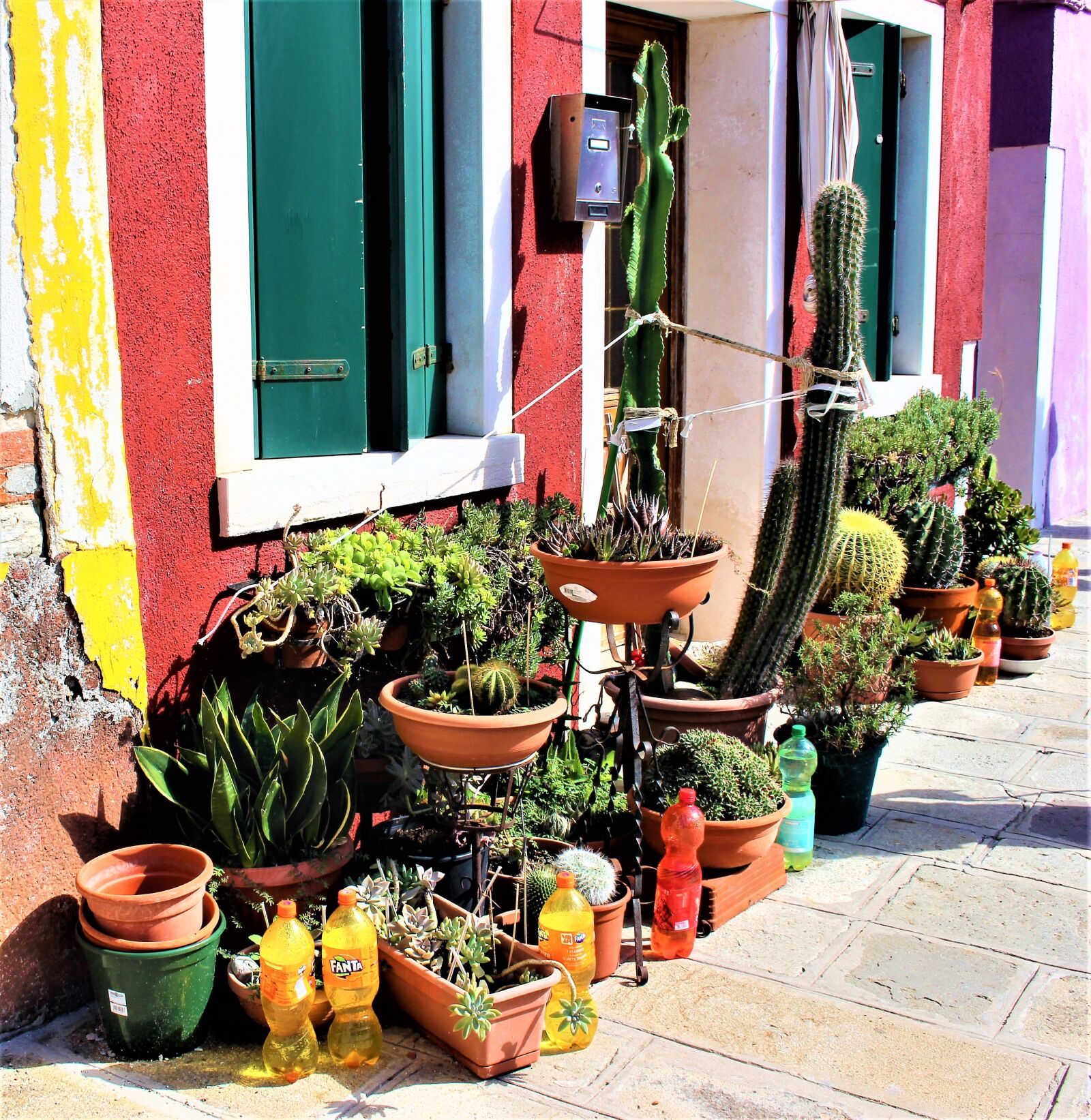 Canon EOS 700D (EOS Rebel T5i / EOS Kiss X7i) sample photo. Cactus, pots, plants photography