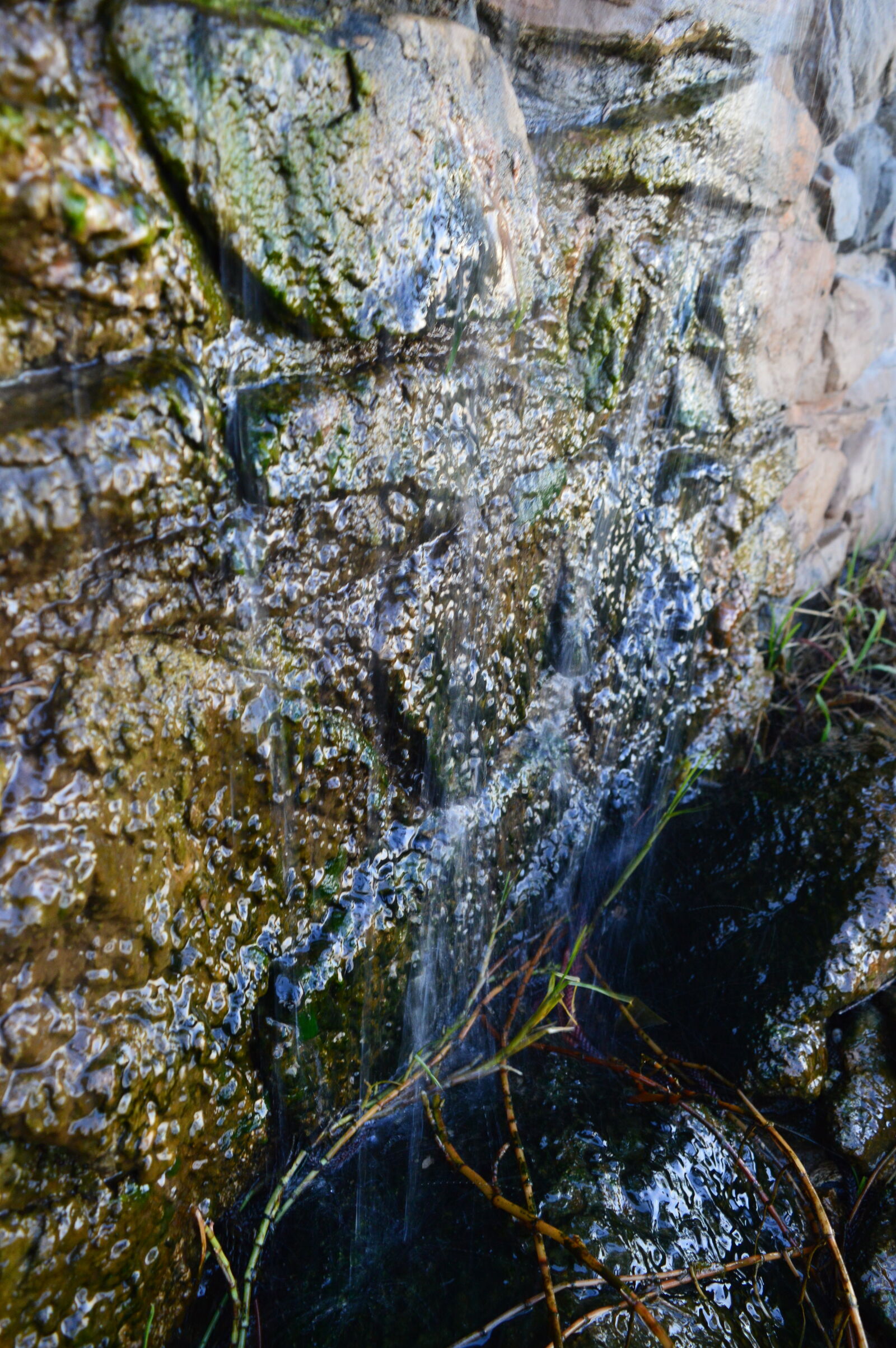Nikon D3200 sample photo