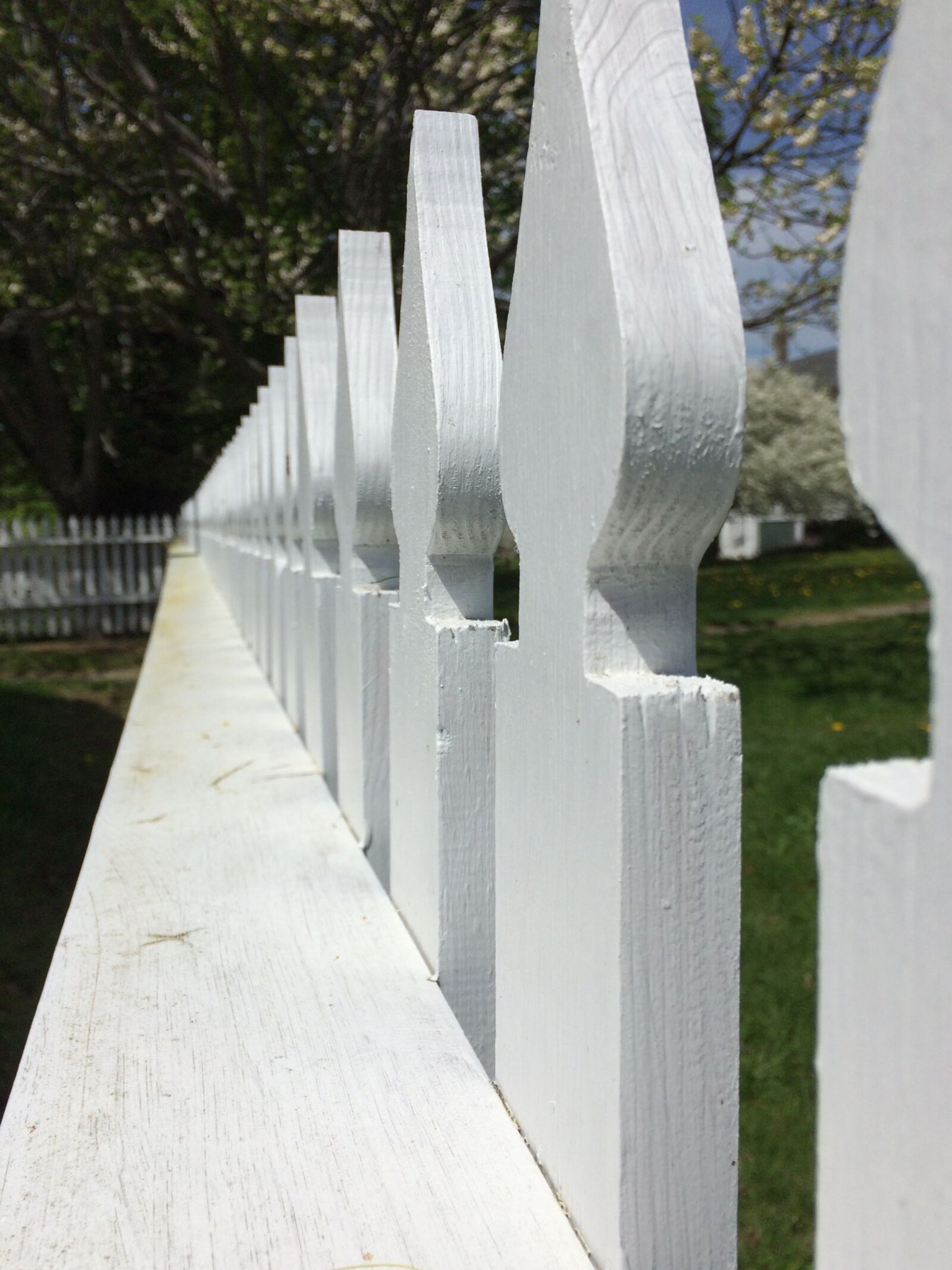 iPhone 5s back camera 4.15mm f/2.2 sample photo. Fence, leading lines, white photography