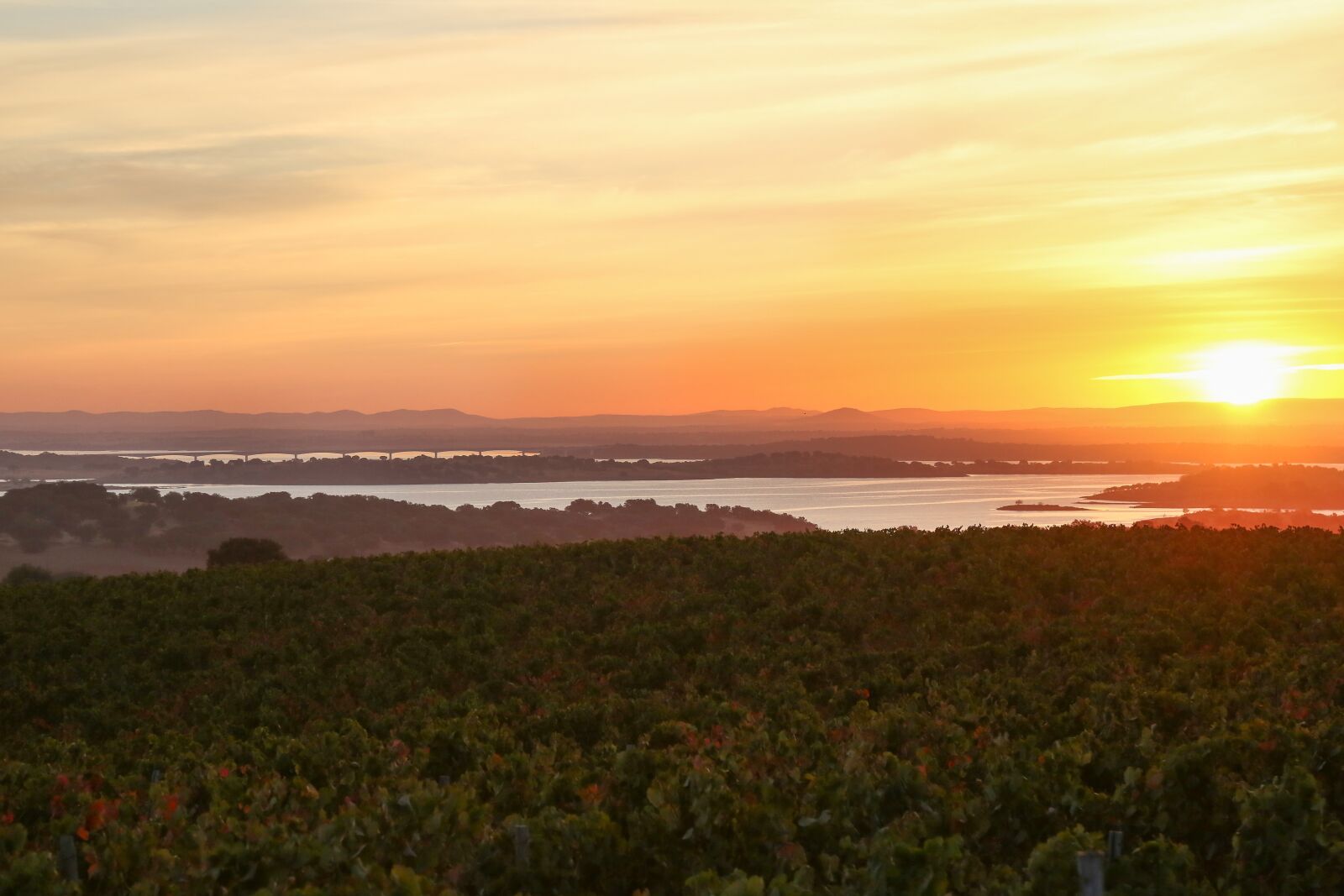 Canon EF 24-105mm F4L IS USM sample photo. Vineyards, lake, alentejo photography