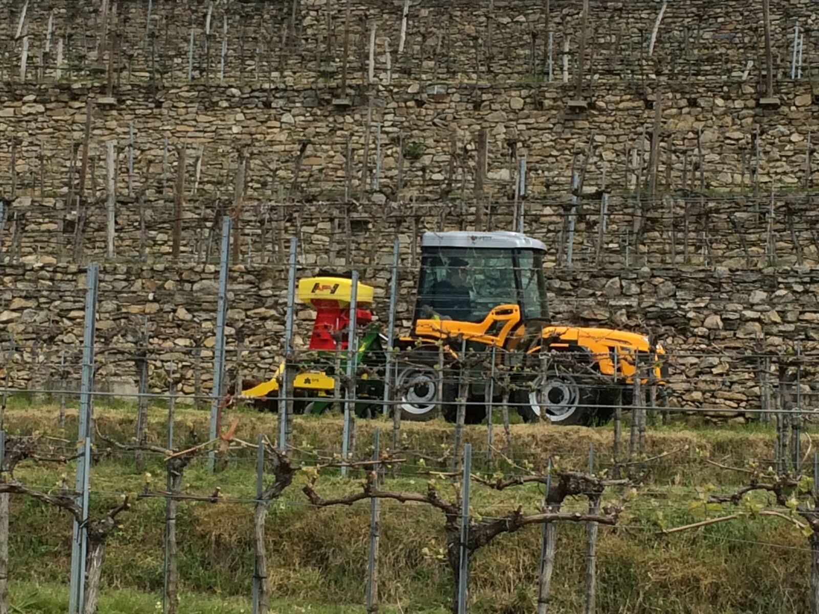 iPhone 5s back camera 4.15mm f/2.2 sample photo. Wine, agriculture, machines photography