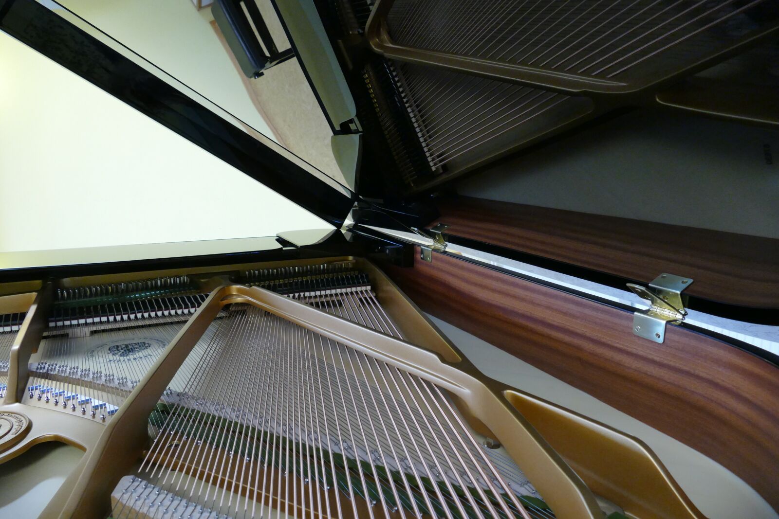 Panasonic Lumix DMC-FZ1000 sample photo. Wing, piano, bechstein photography