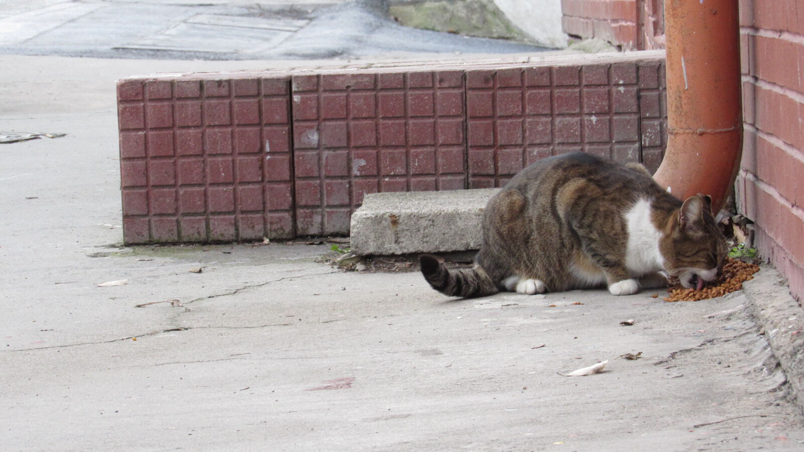 Canon PowerShot SX520 HS sample photo